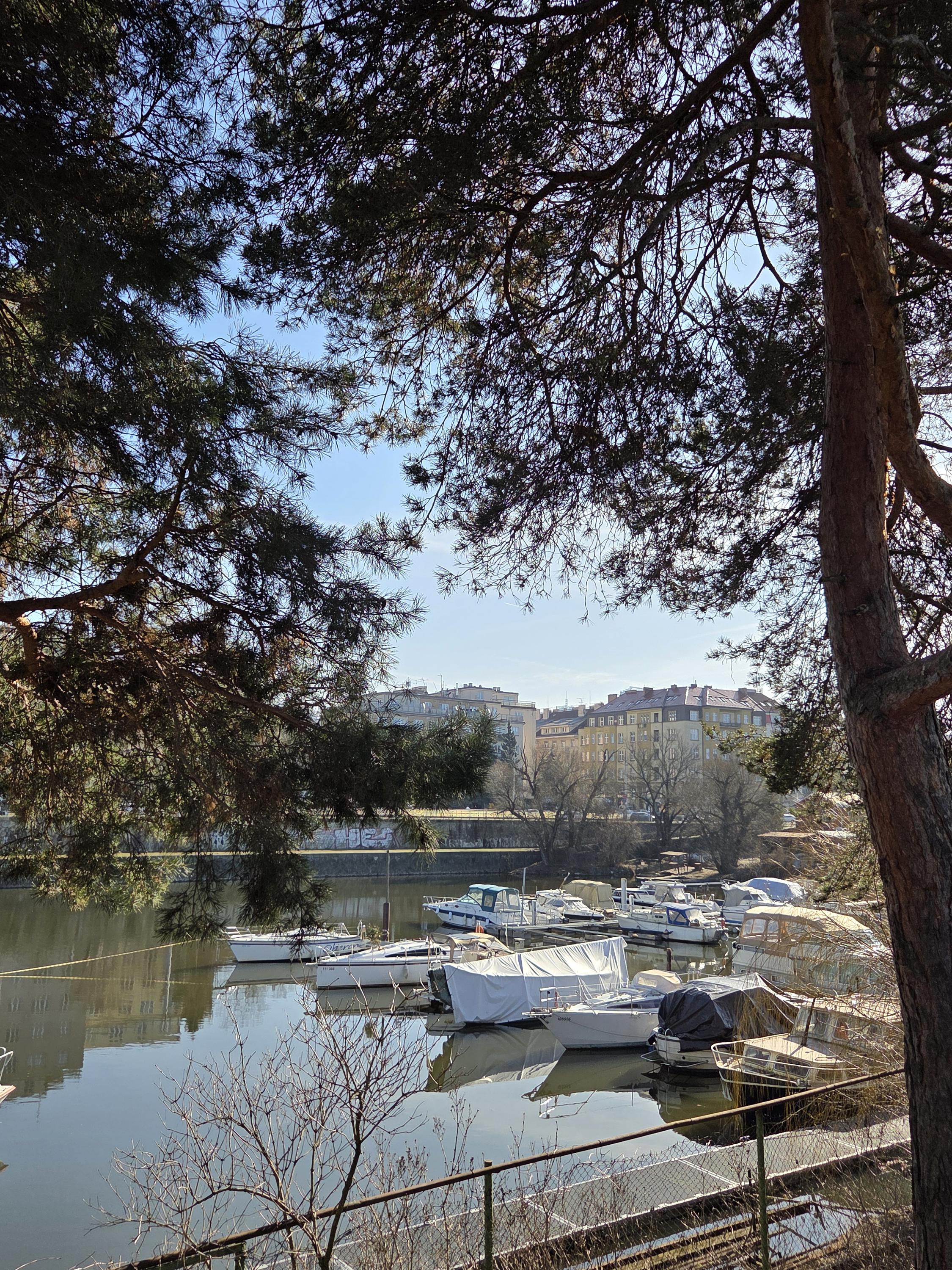 Český Yacht Klub foto 2