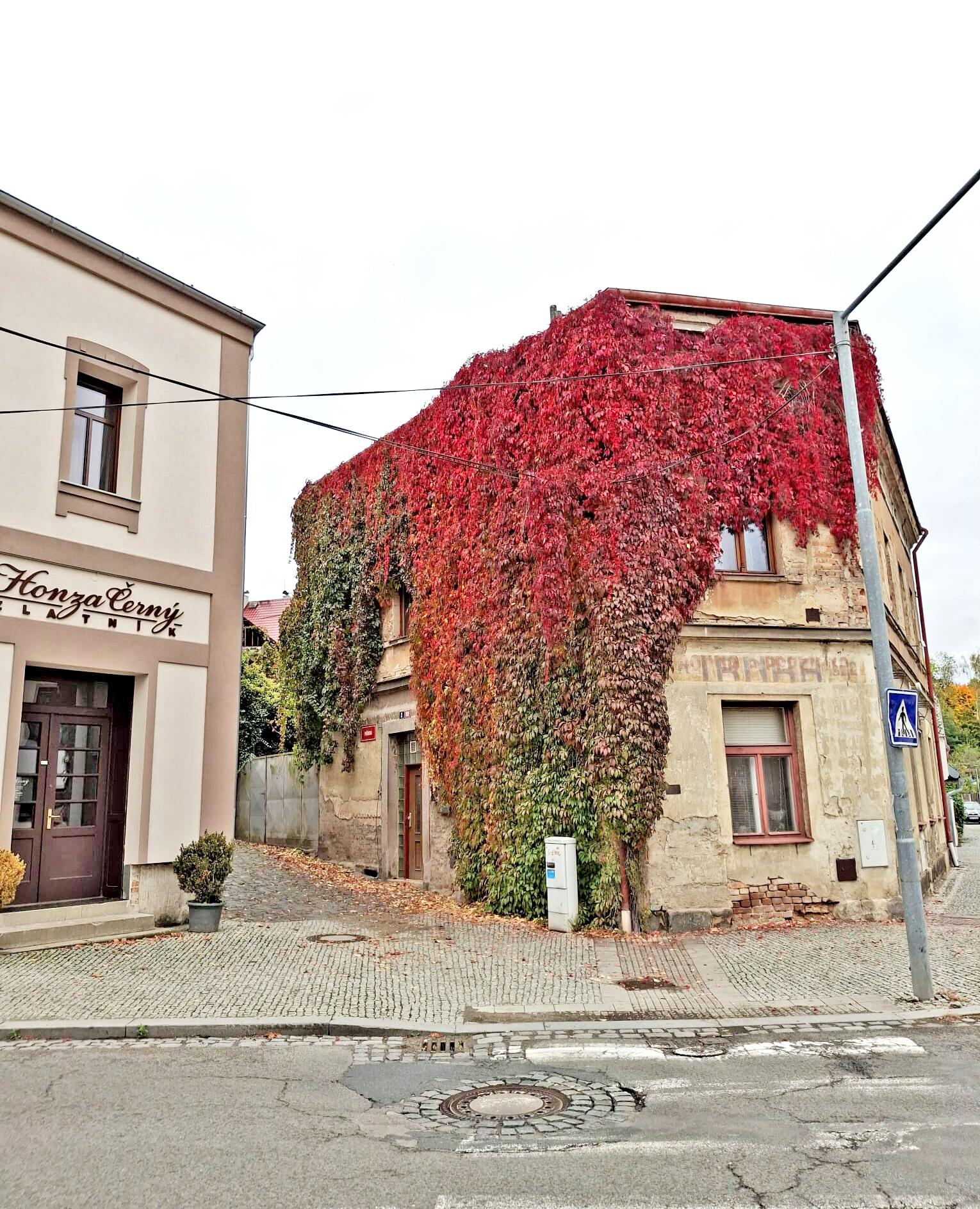 Honza Černý zlatník foto 3