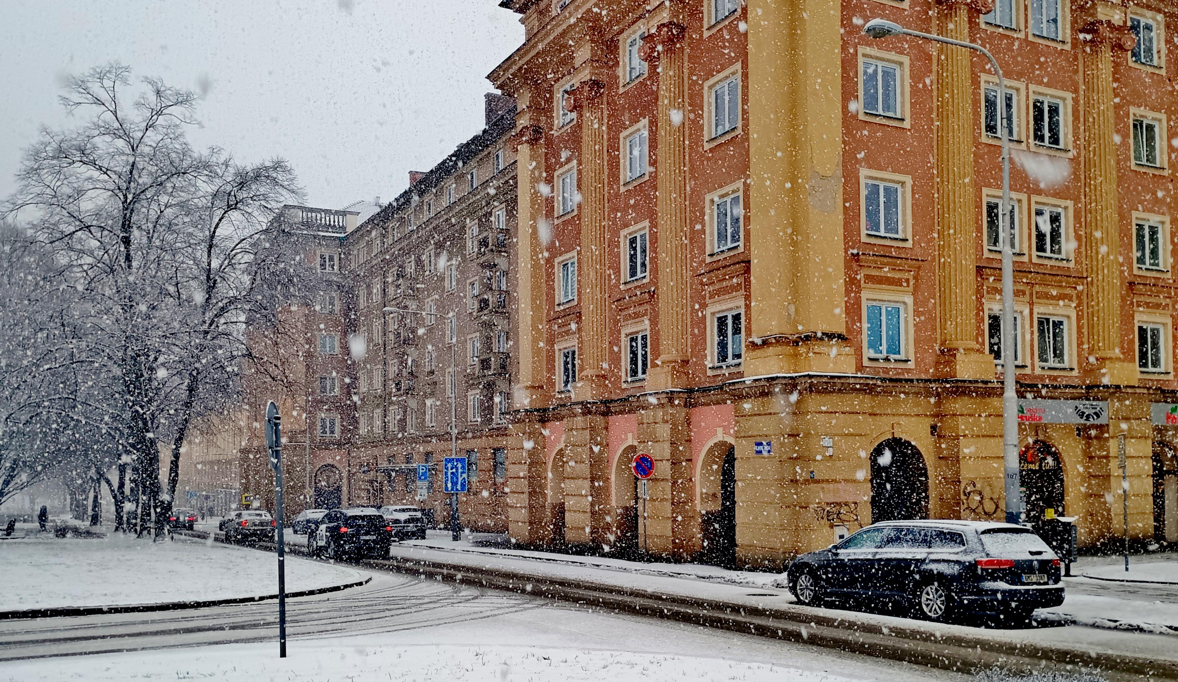 HRUŠKA foto 4