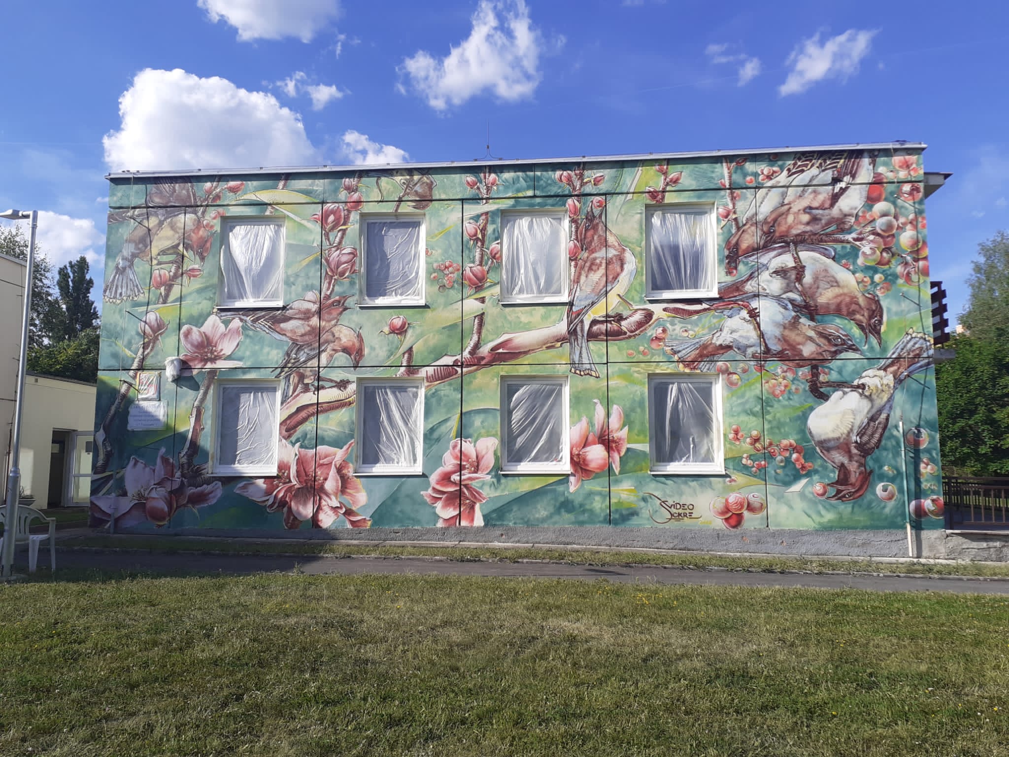 Odloučené pracoviště ZŠ, Plzeň,  Tachovská 19 foto 2