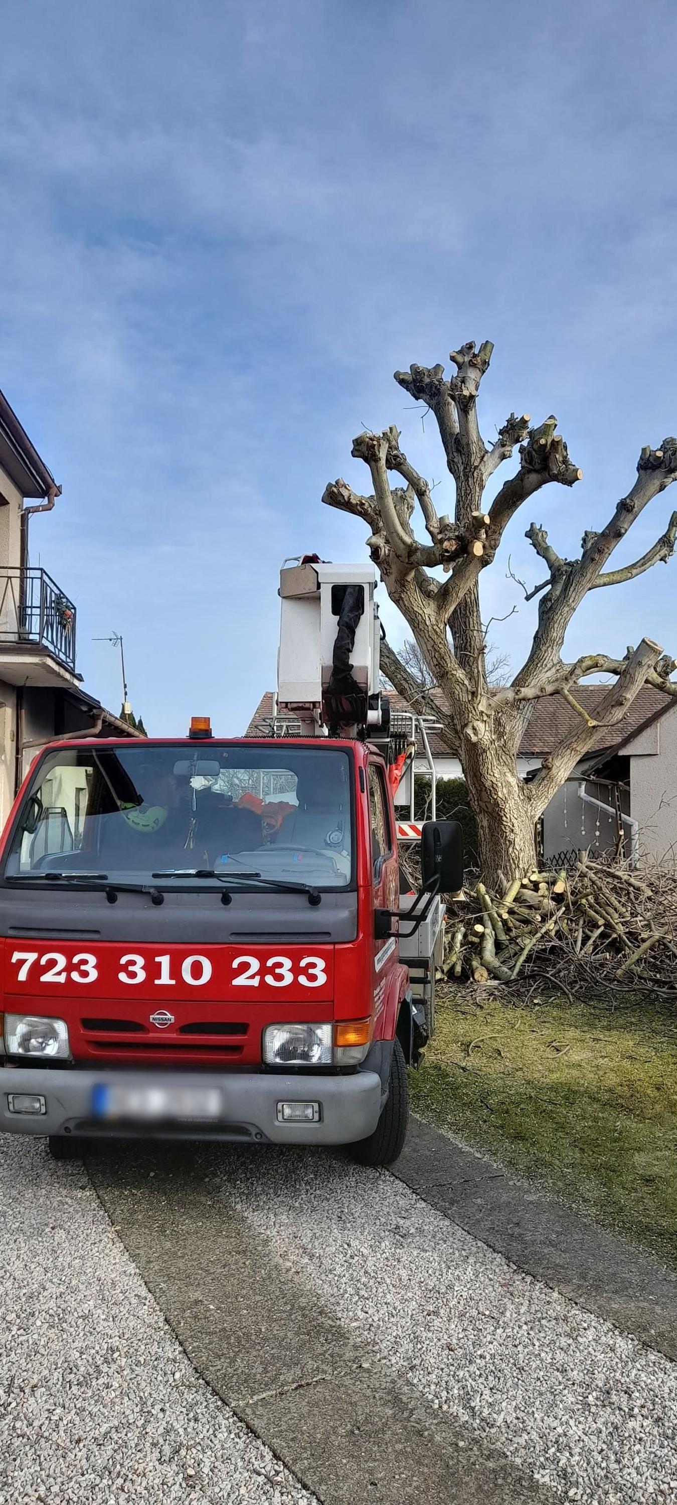 Půjčovna Pokorný- výškové práce foto 4