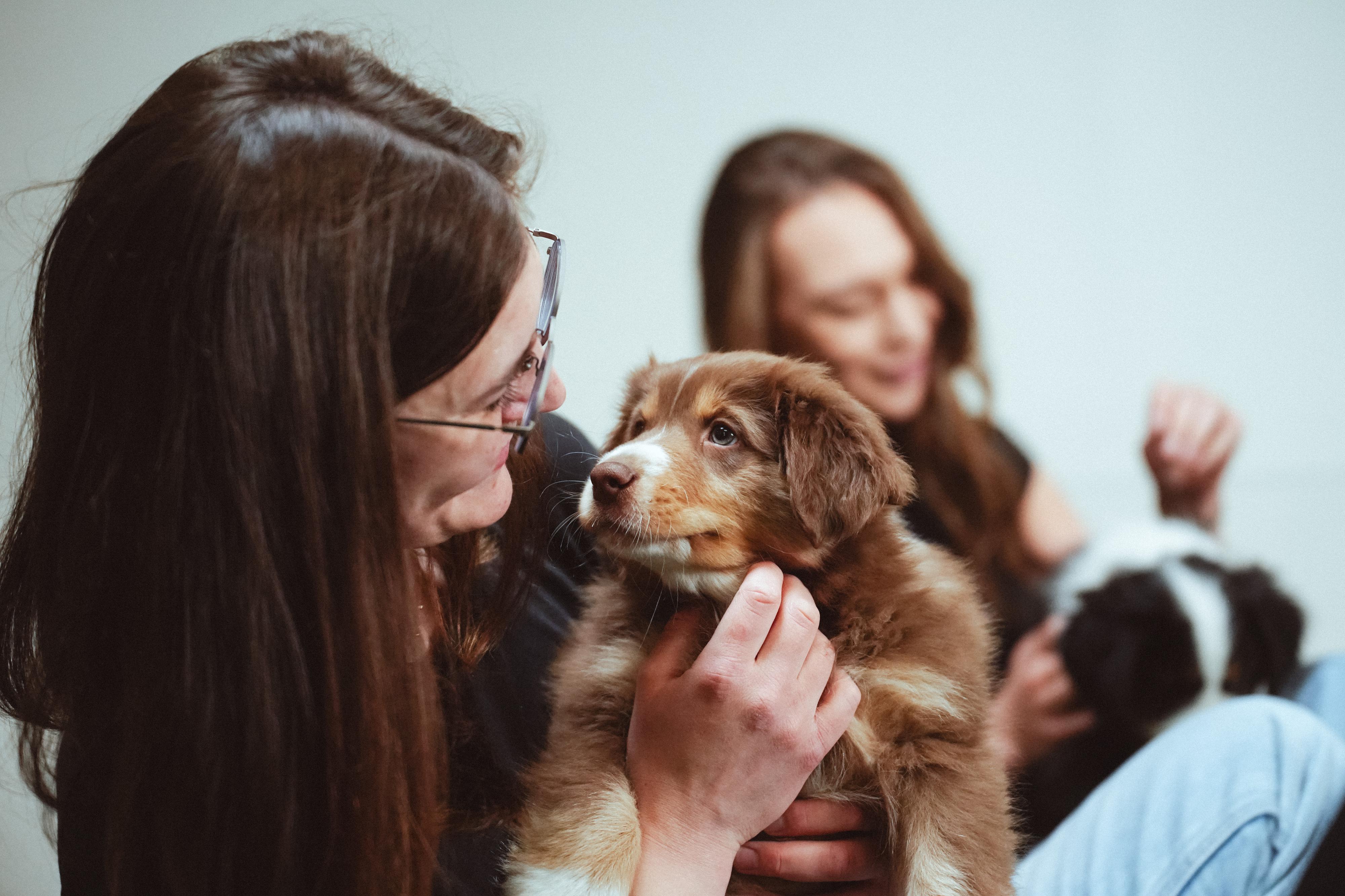 Puppy Day foto 5