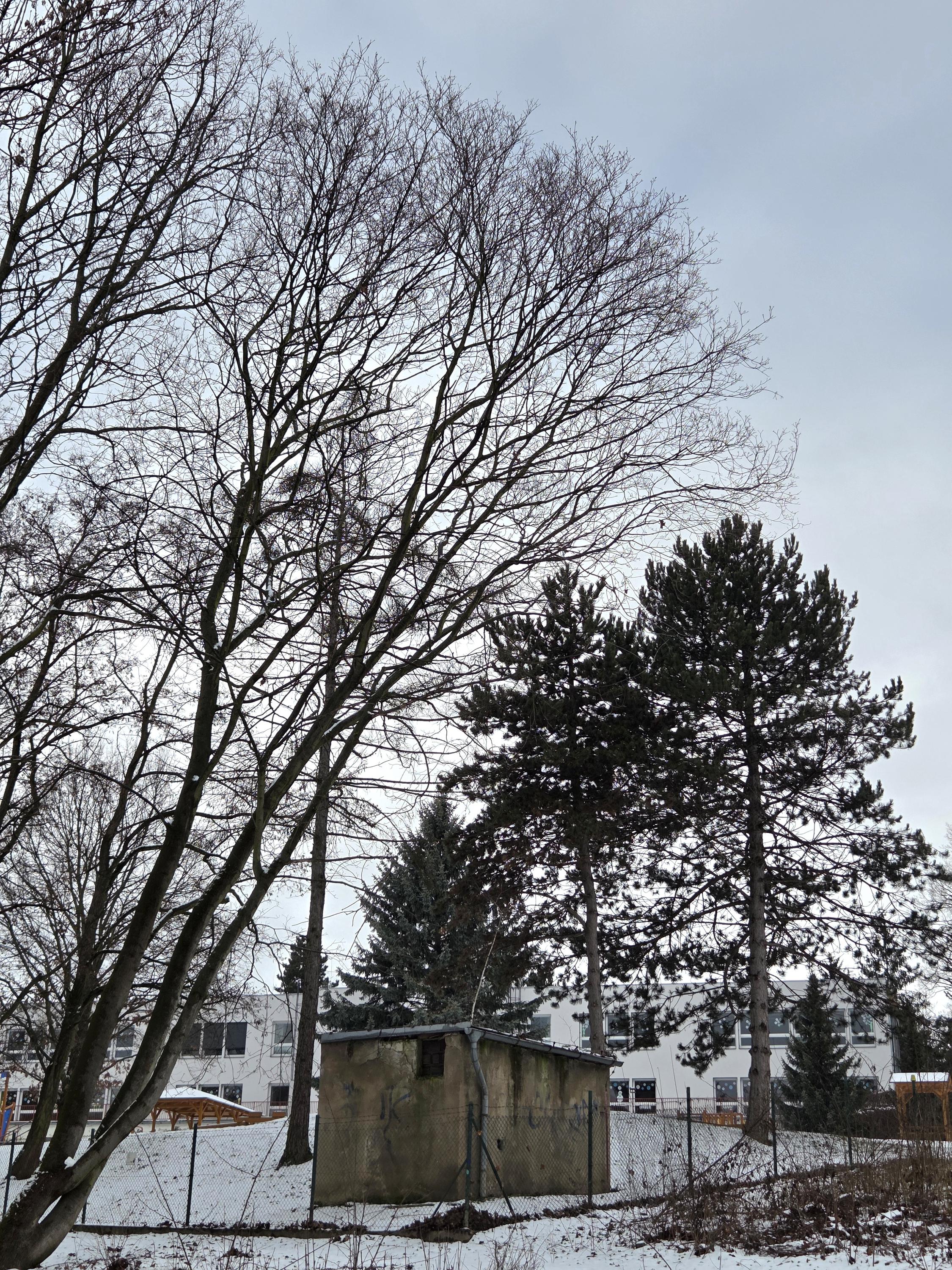 Mateřská škola Pod Krocínkou foto 5