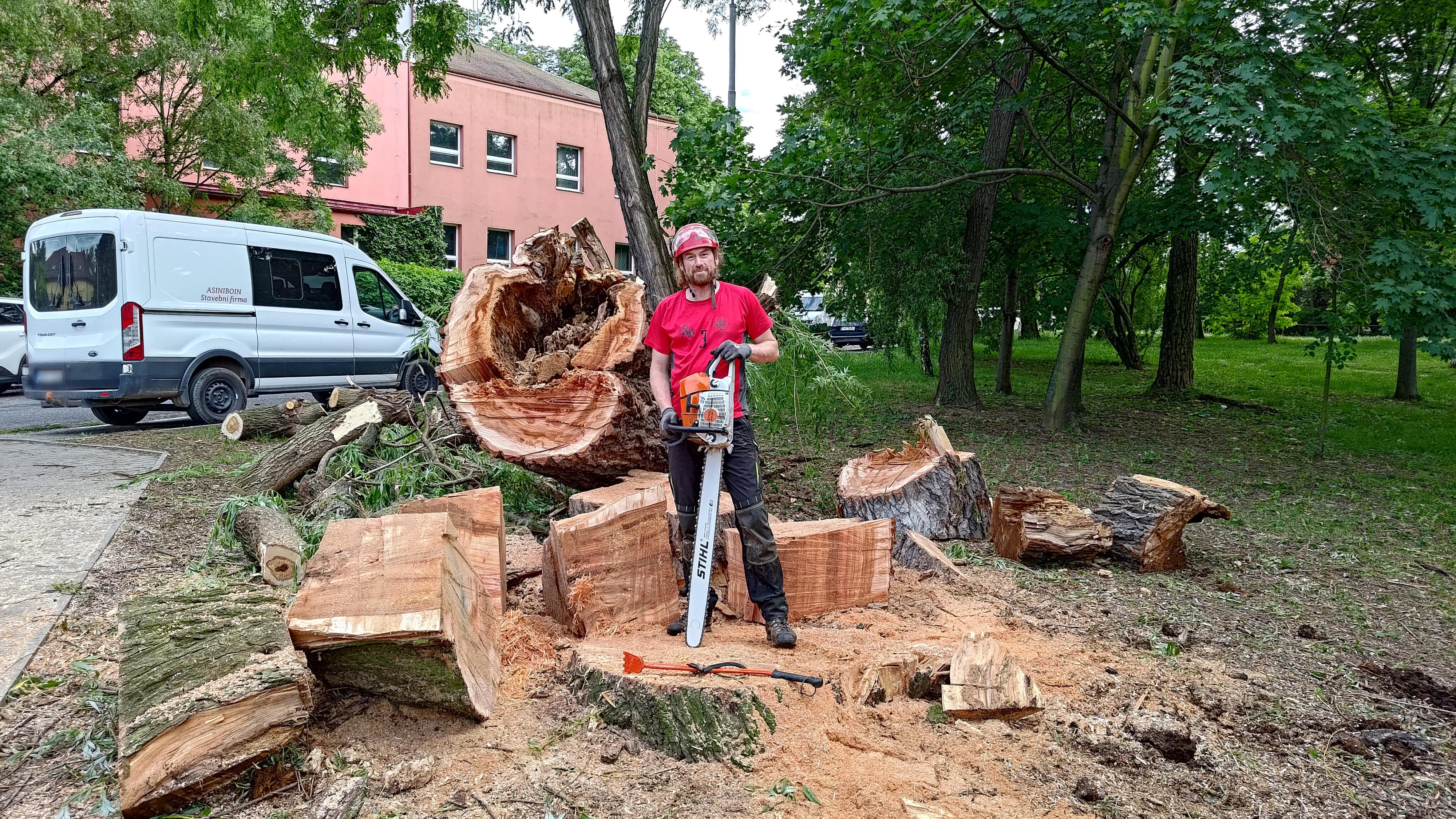Petr Breuer - hodnocení a péče o stromy foto 4