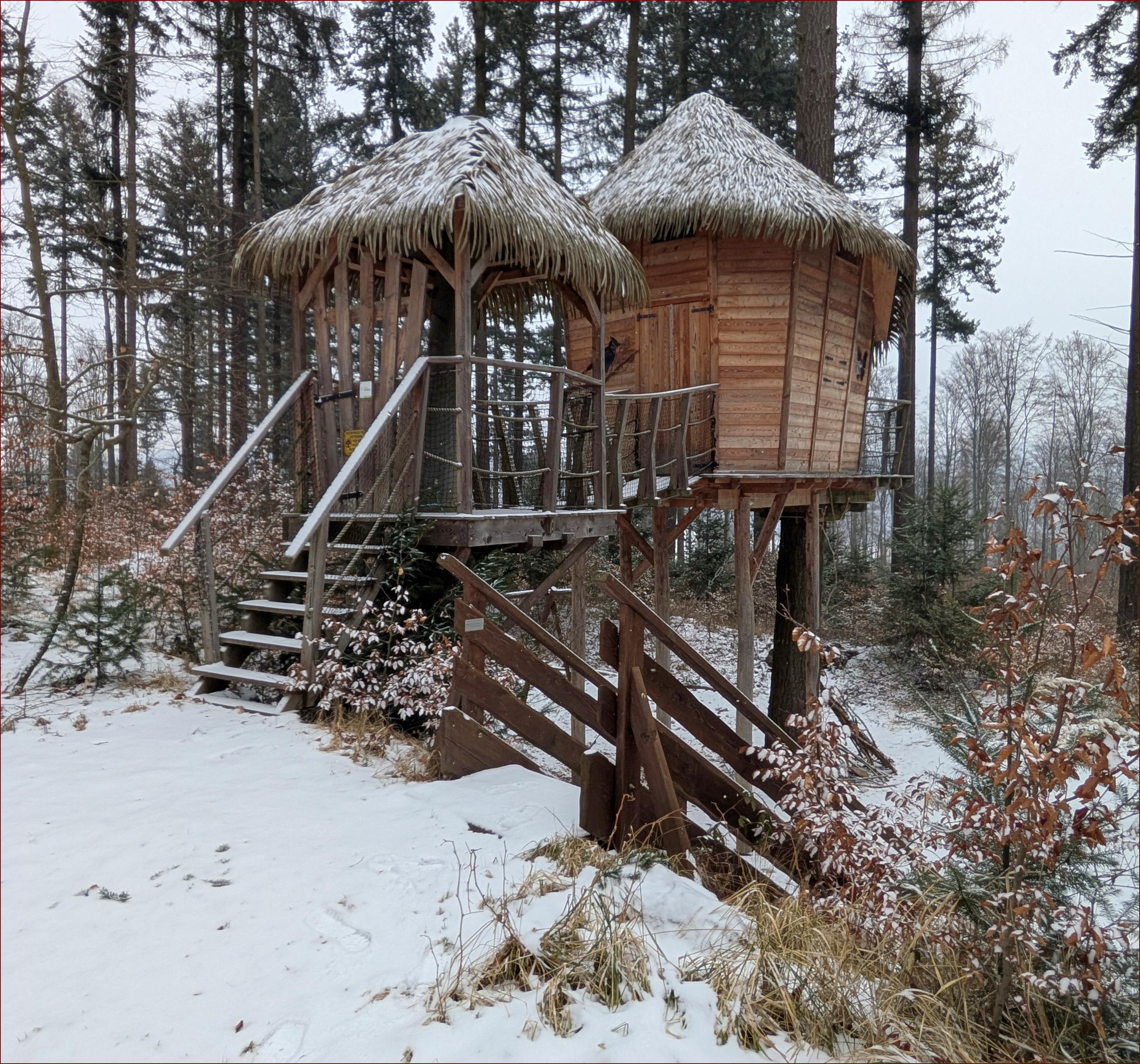 Tree house Sojčí hnízdo foto 5