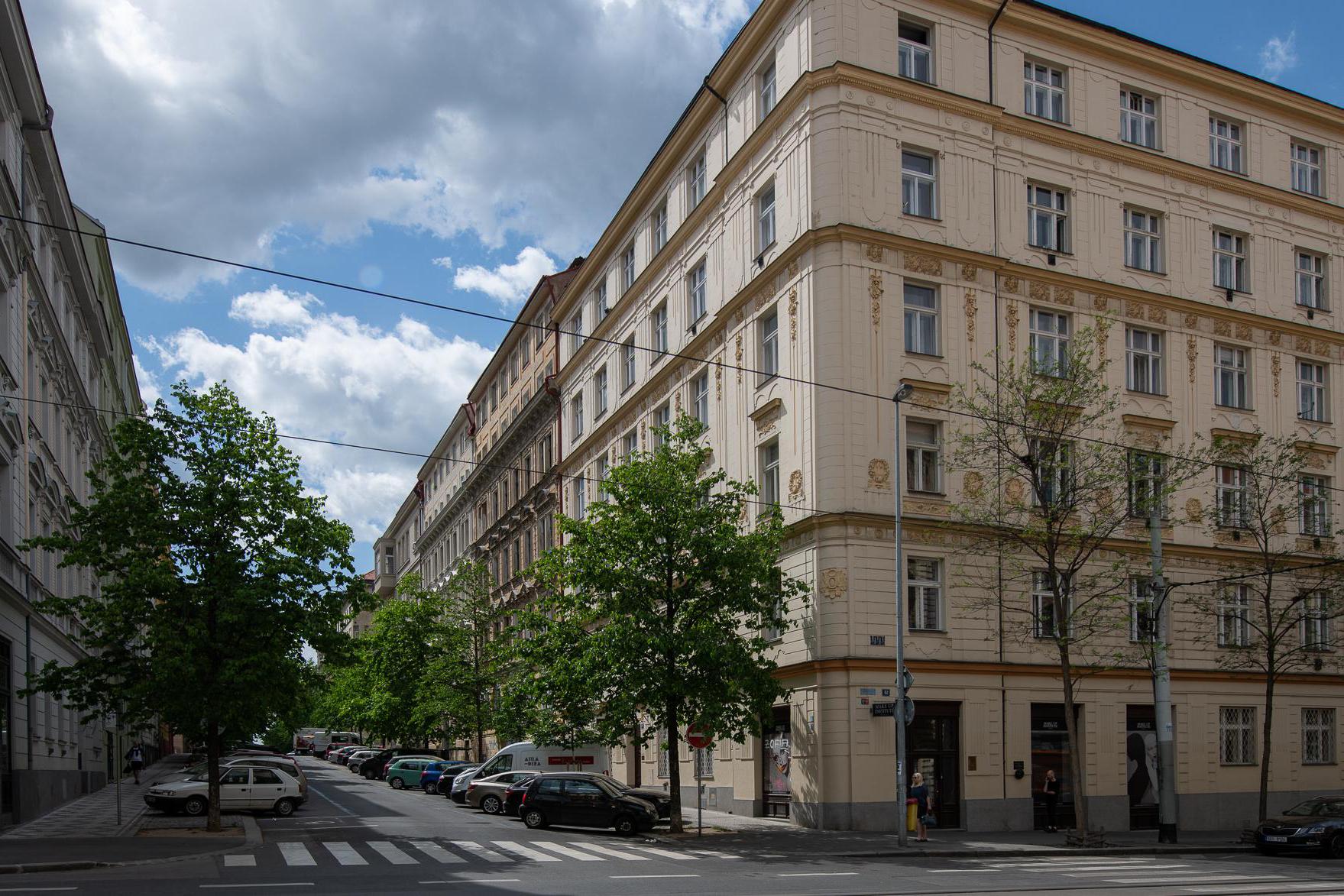 Eva Zelinková, REALITY foto 1