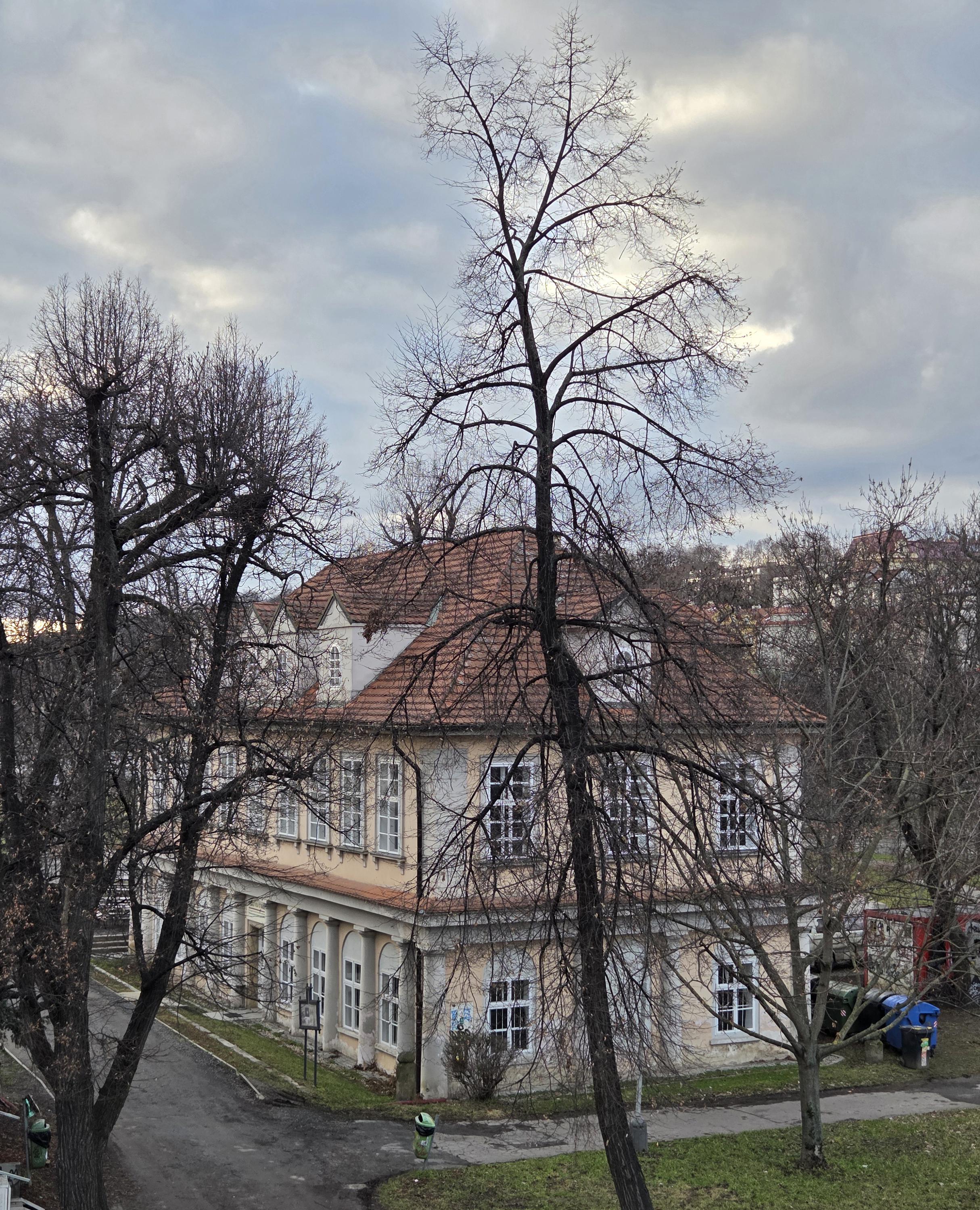 Divadlo VILA Štvanice foto 3