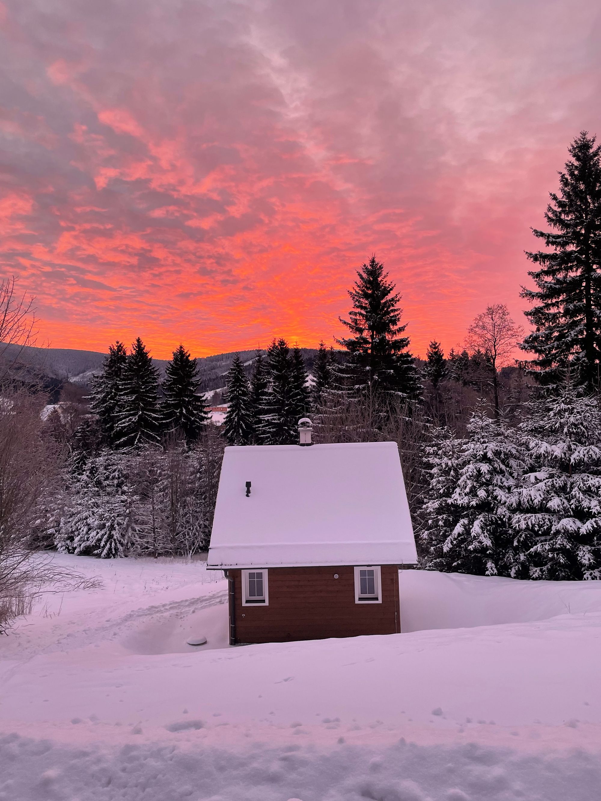 U nezbedné Lištičky foto 2