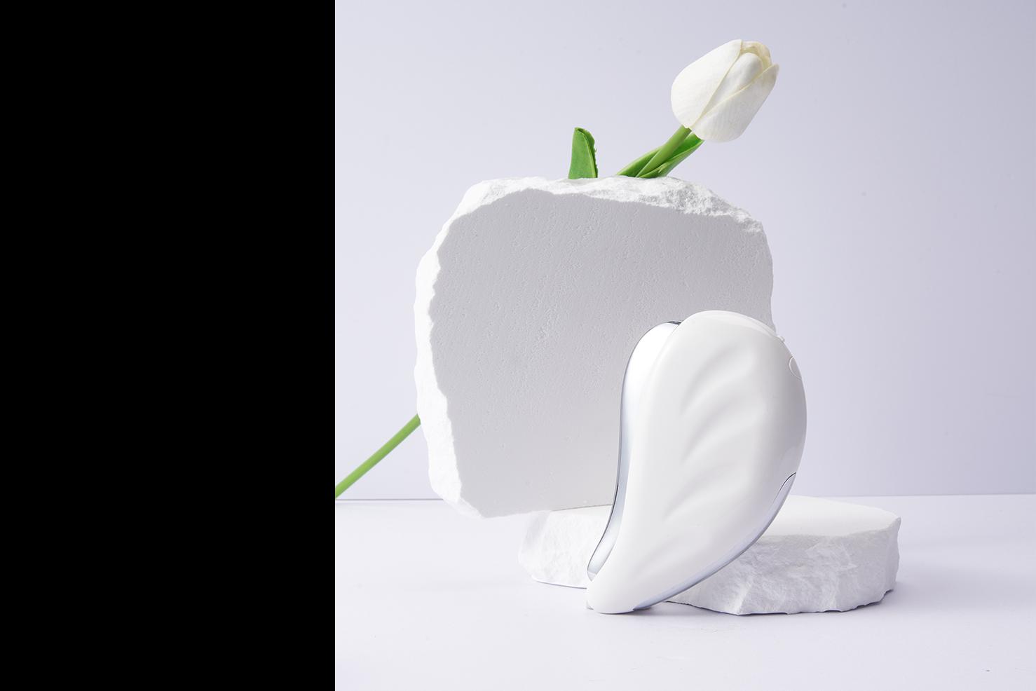 Luxusní EMS Gua Sha – Terapie krásy proti vráskám