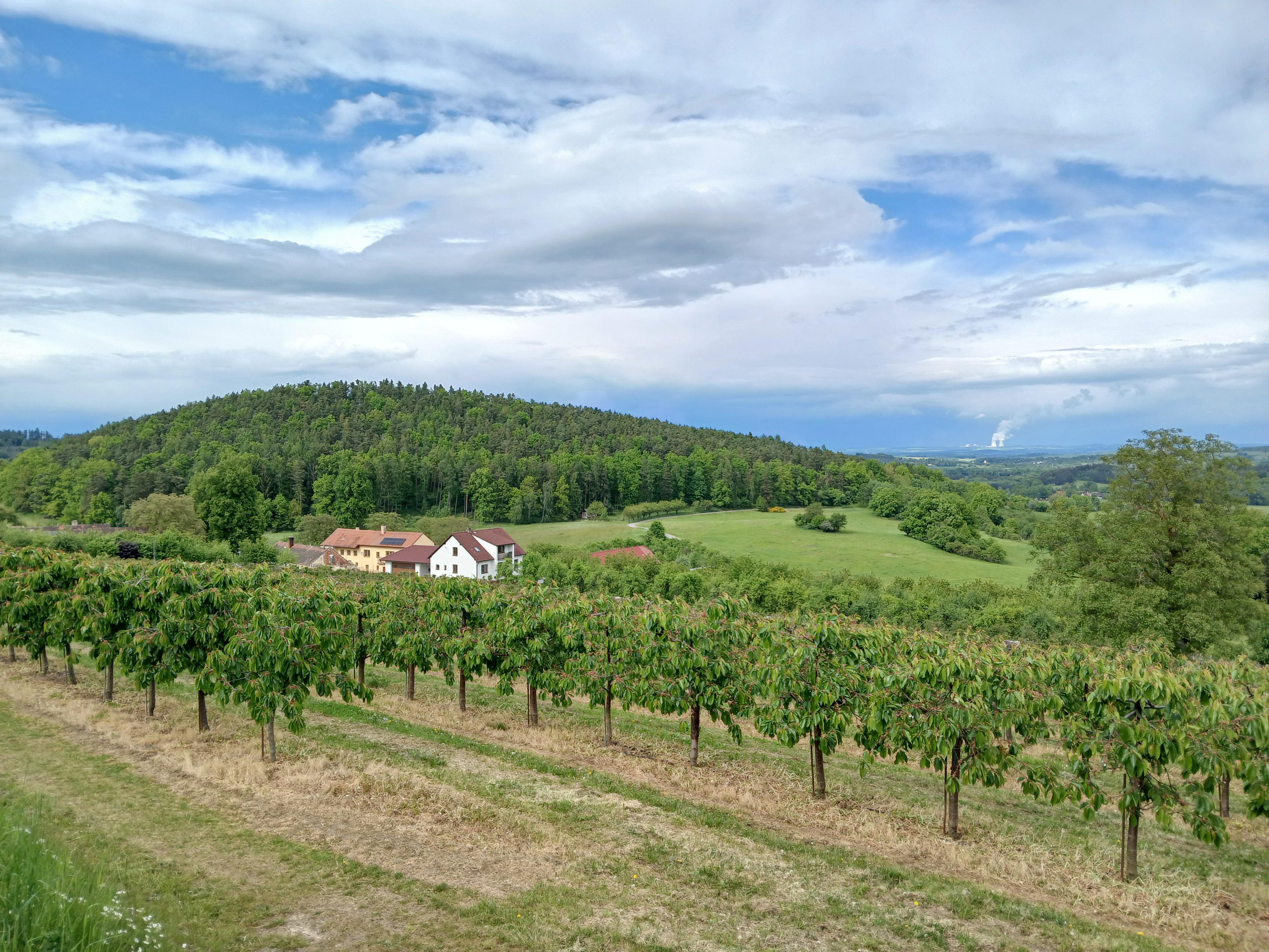 Ovocnářství a včelařství Tomáš Rot foto 3