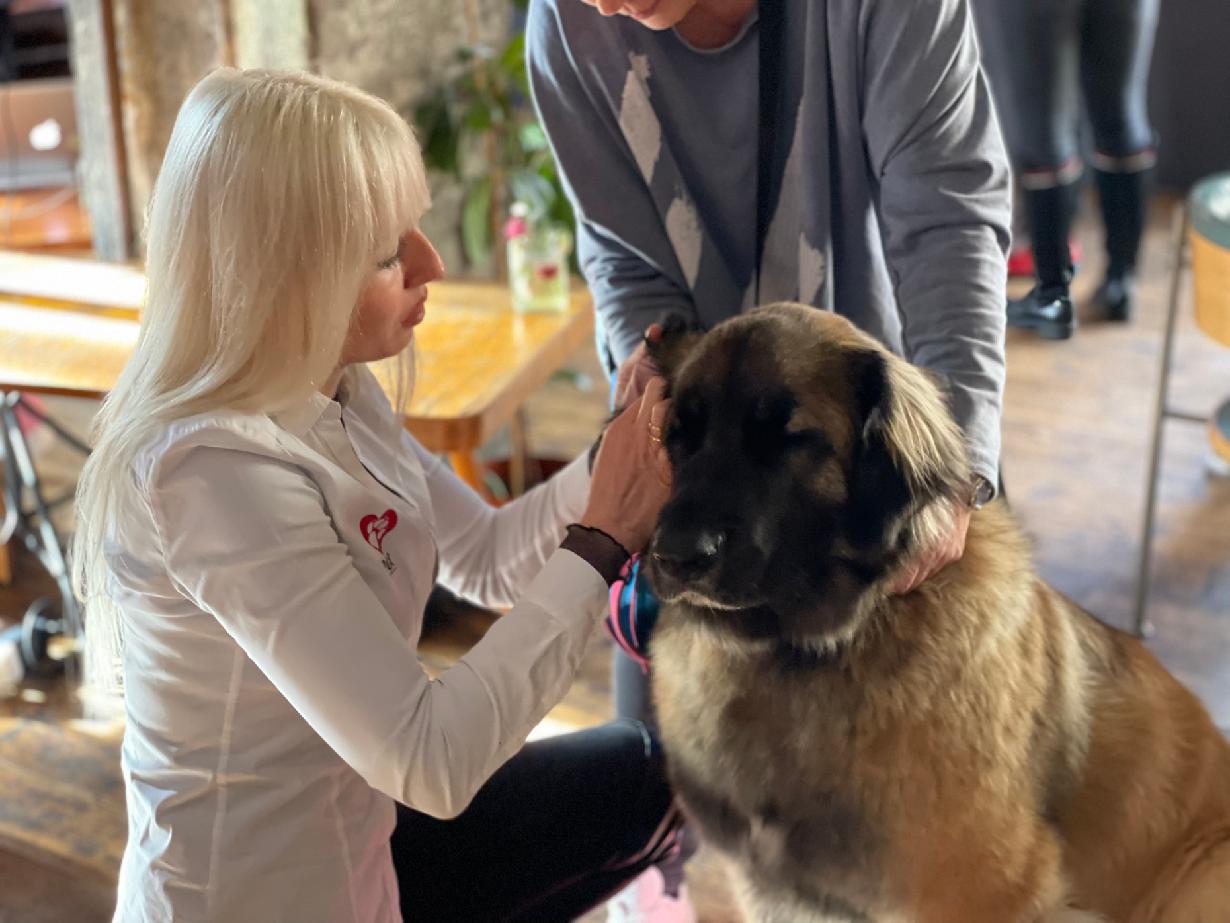 PetGrooming Company foto 3