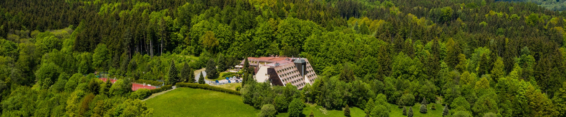 Úvodní obrázek Wellness hotel Diana