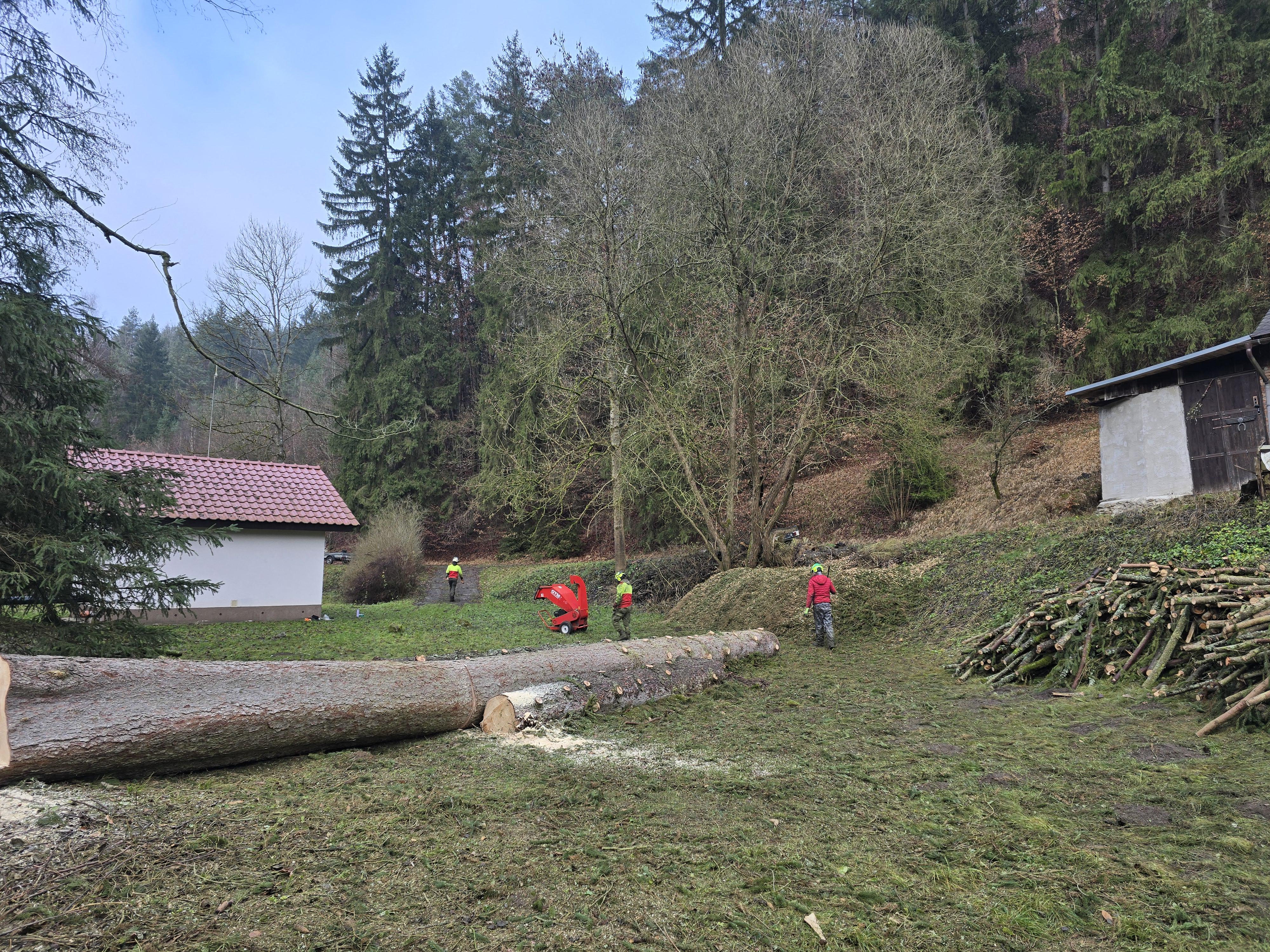 Péče o stromy - Ing. Vítězslav Prchal foto 3