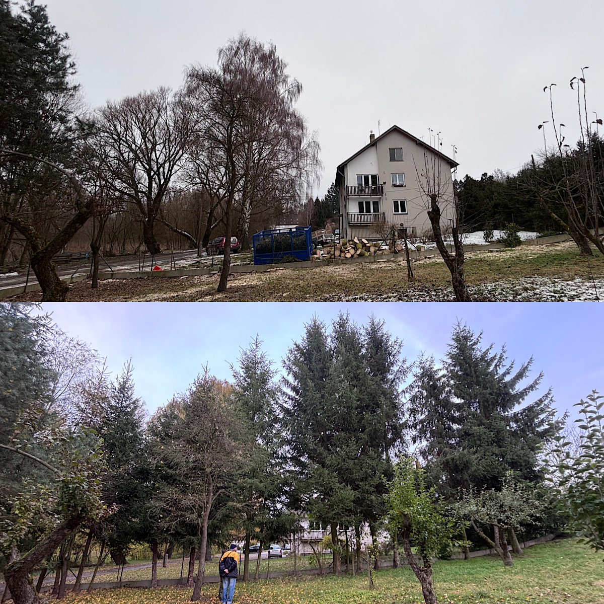 Rizikové kácení stromů Pešek foto 2
