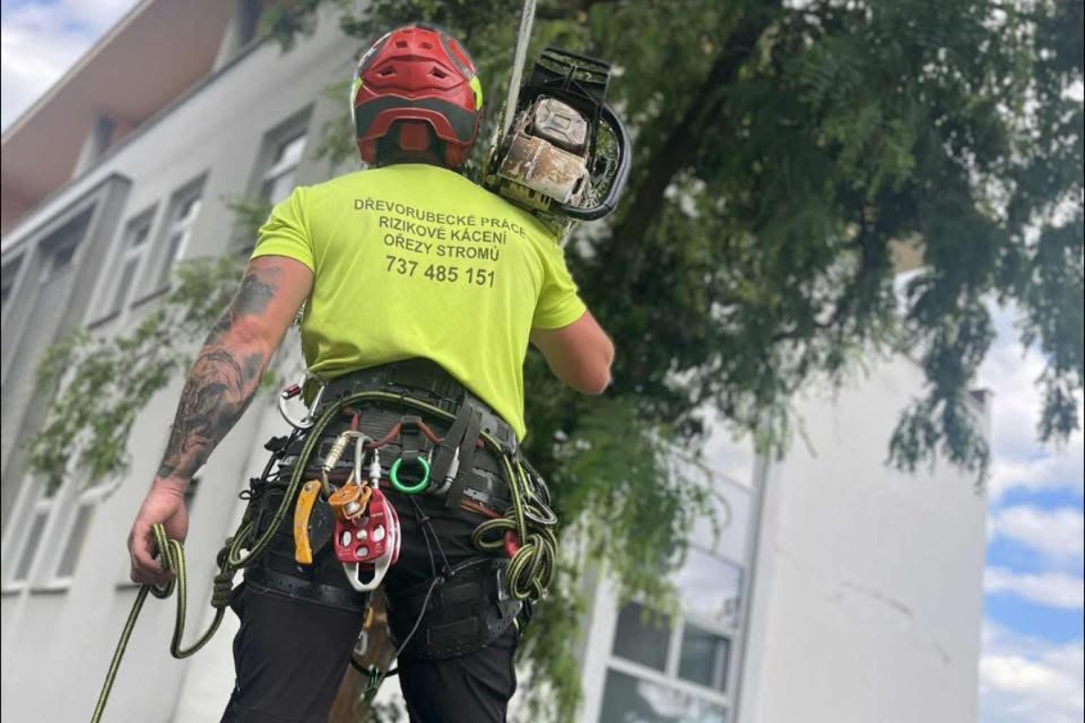 Rizikové kácení stromů