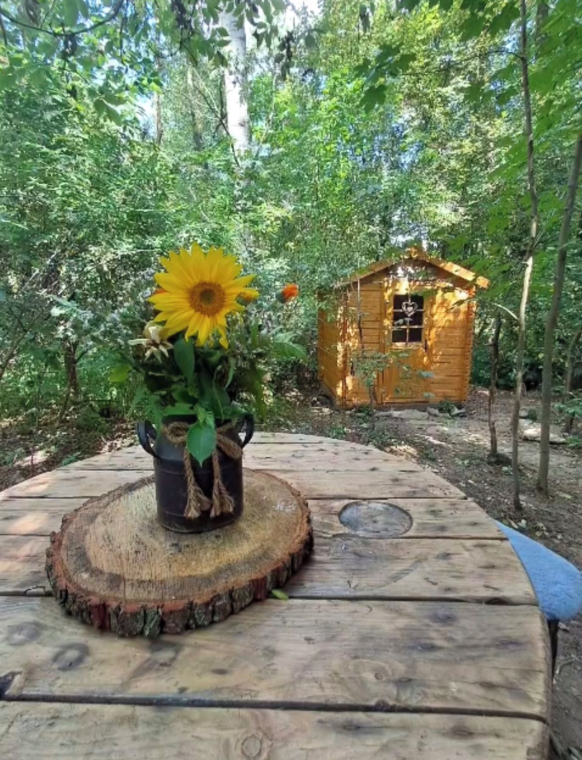 Samoobsluha v přírodě foto 4