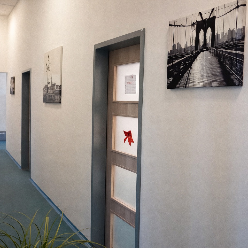 Jazyková škola LUNAGO foto 4