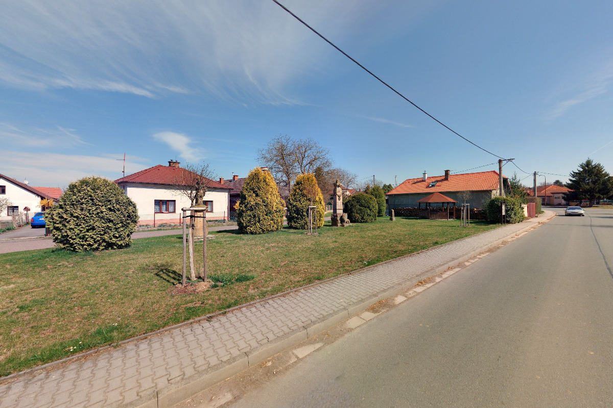 Stříhání psů Veronika Tobolkova