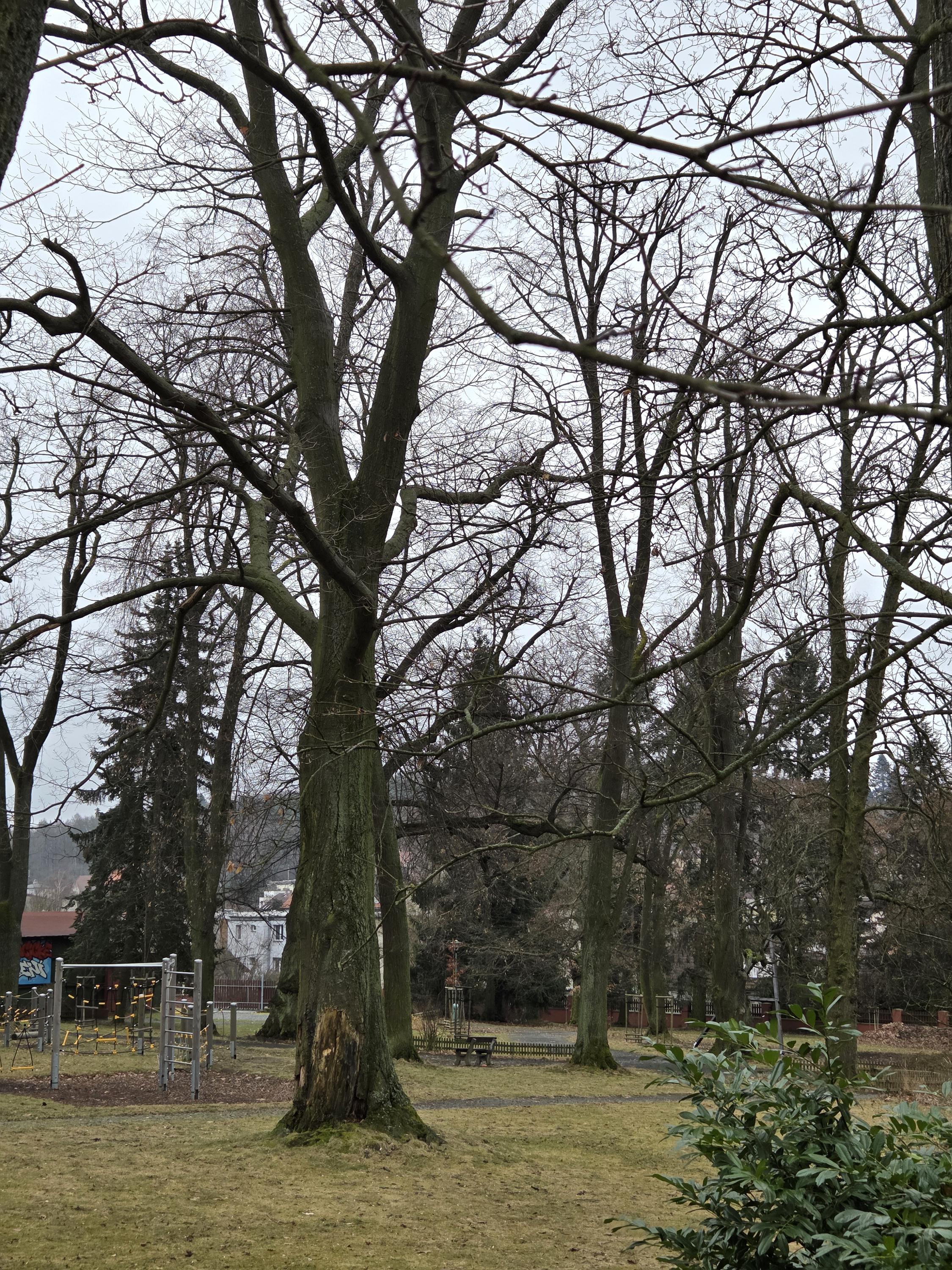 Víceúčelové hřiště Strančice foto 3