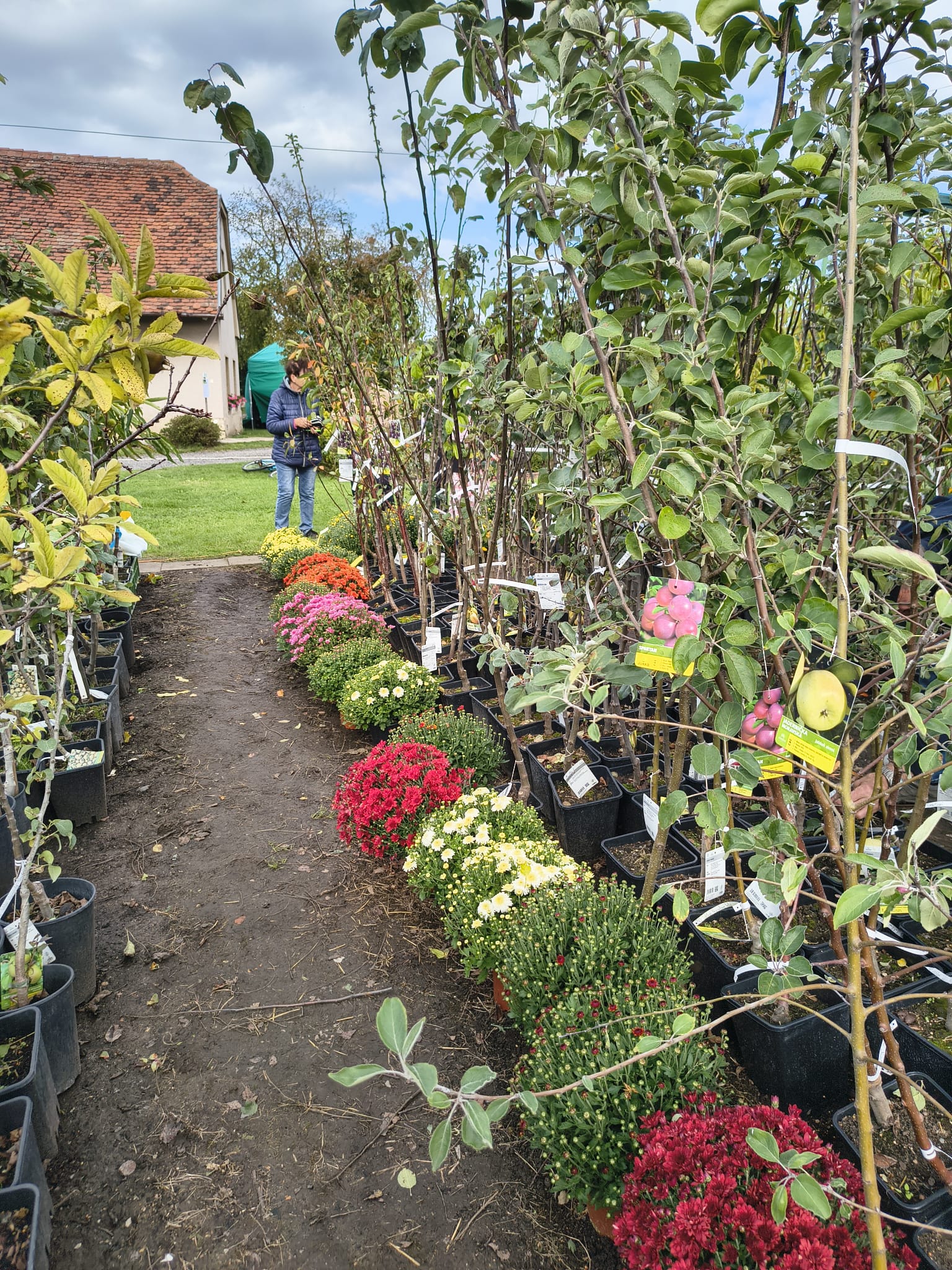 Zahradnictvi Kubelkovi foto 2