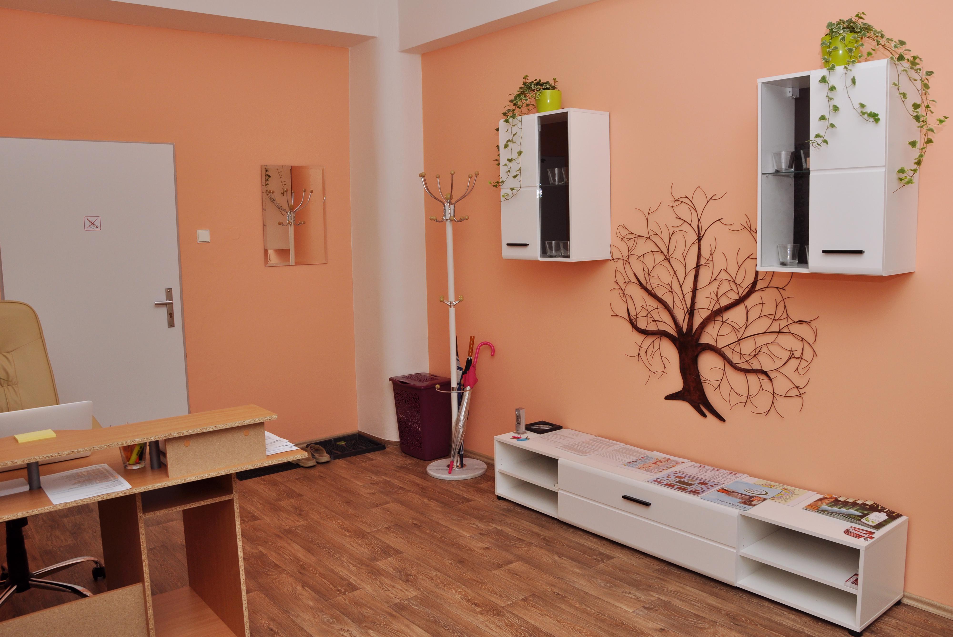 Zdraví v zrcadle - Biorezonance, Arnošt Smolný foto 4