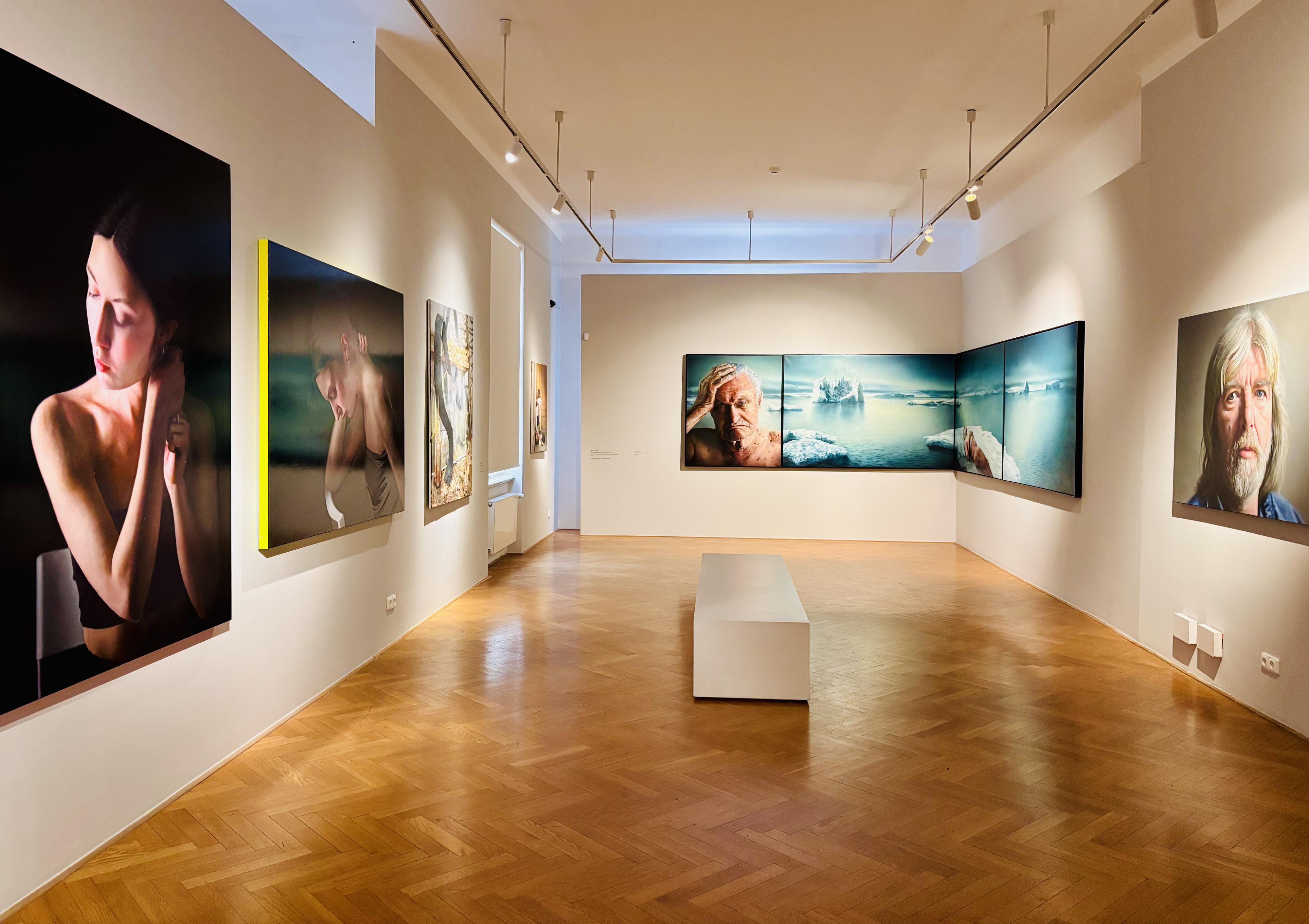 Galerie Villa Pellé foto 3