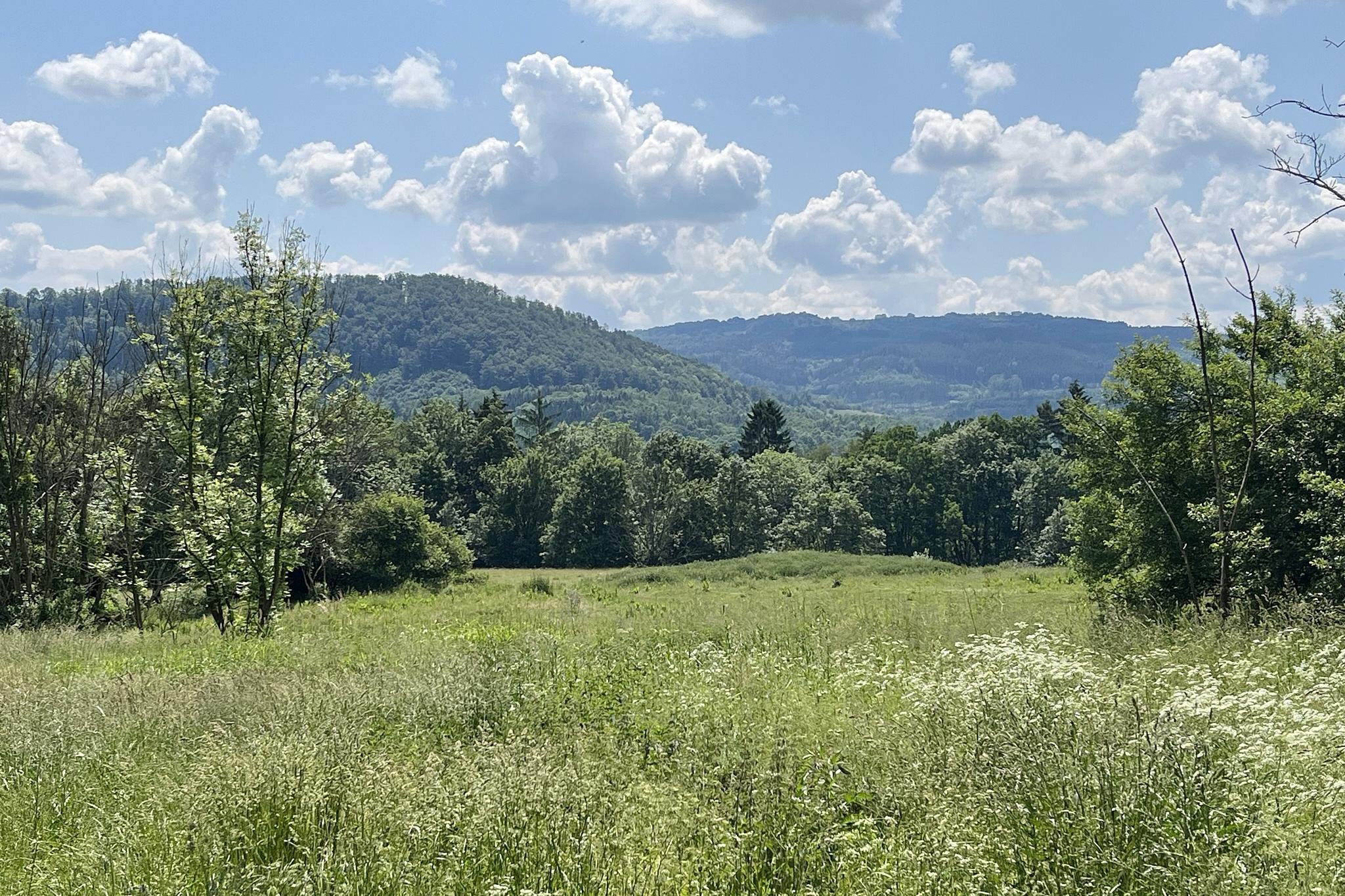 Prodej pozemku v Nové Kyselce u K. Varů