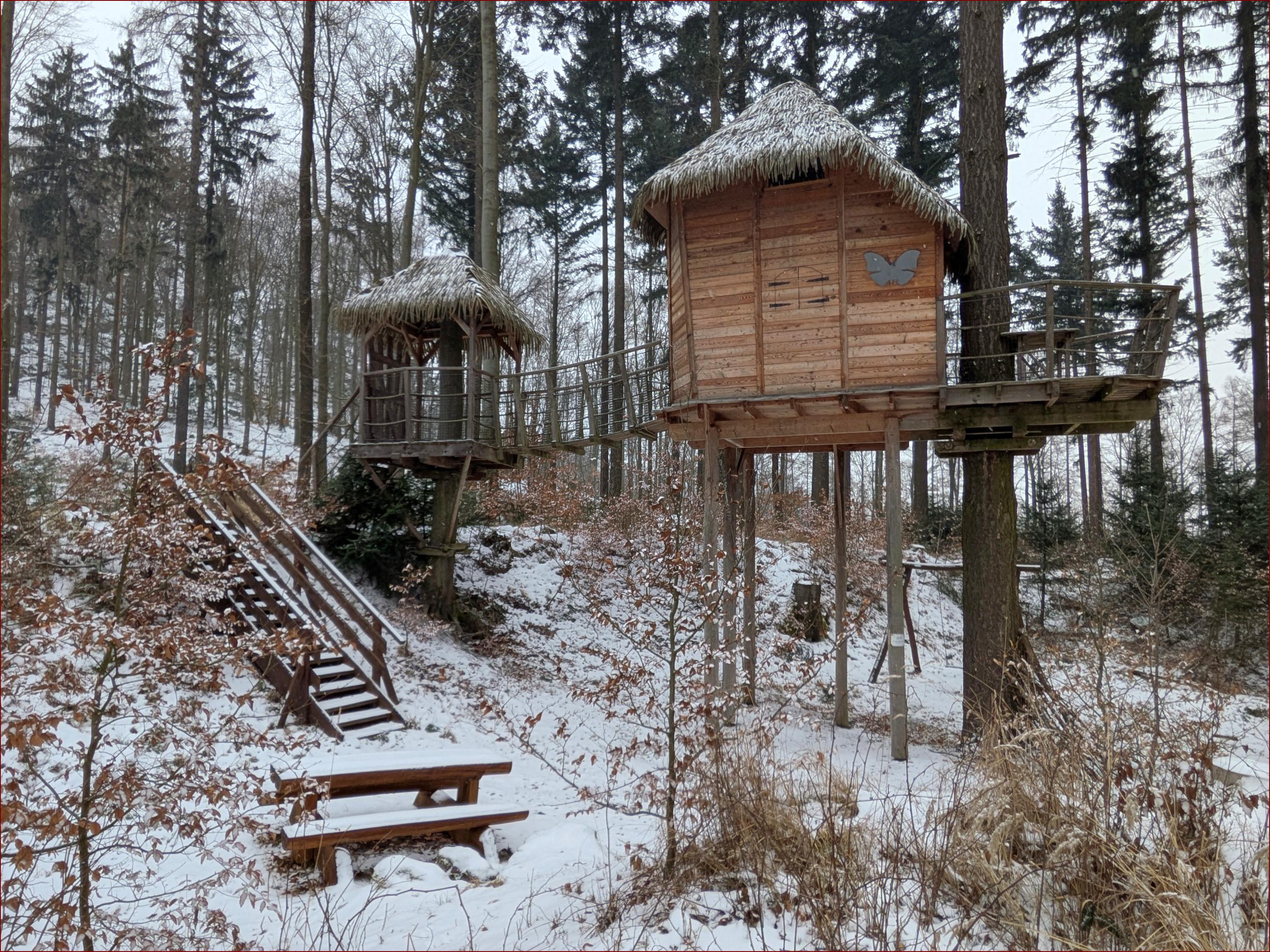 Tree house Sojčí hnízdo foto 6