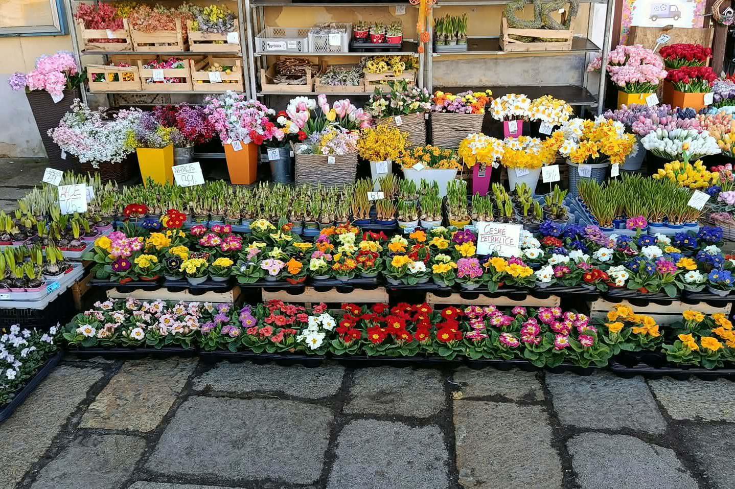 Písecká kytičkárna