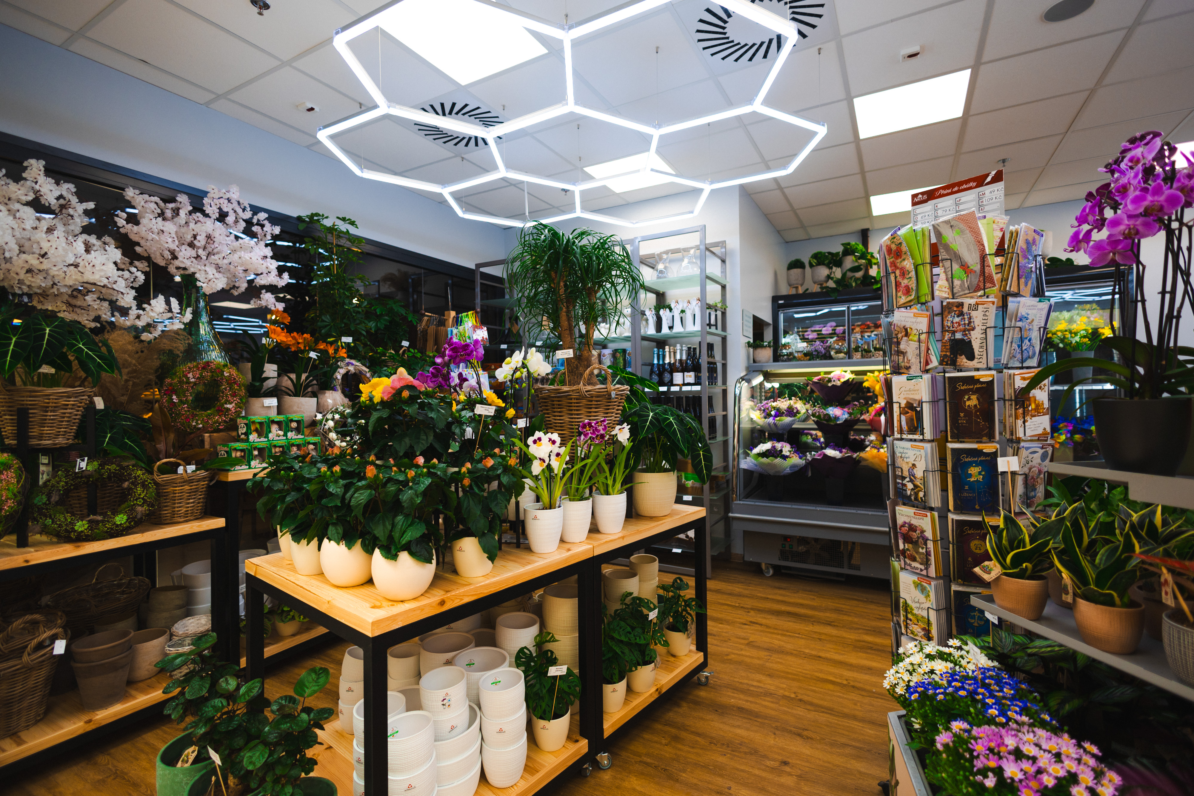 Květiny Flora foto 3