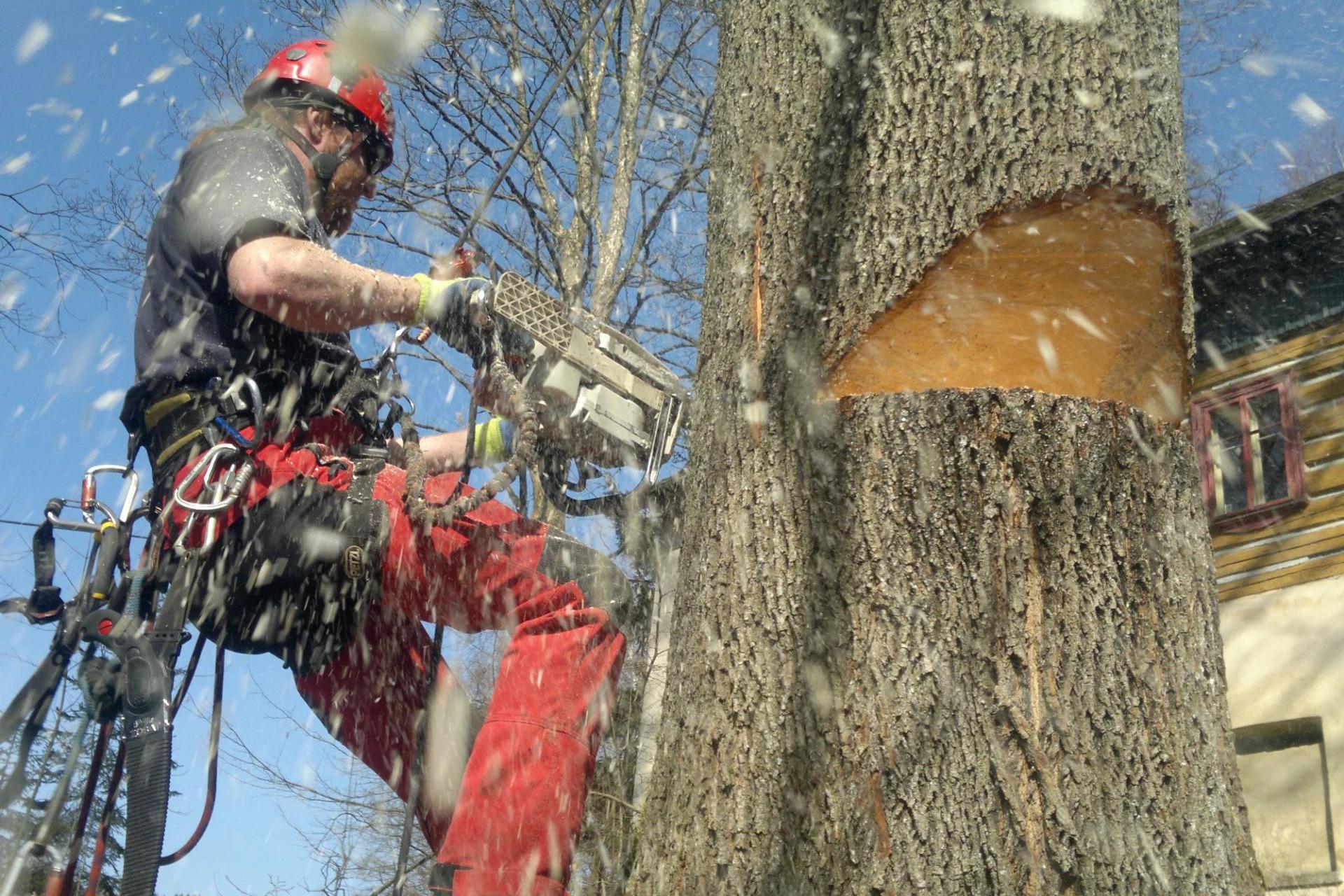 Extrem kácení Martin Sikora