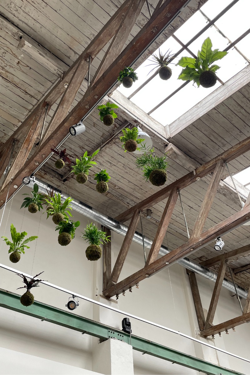 Gardners Design foto 5