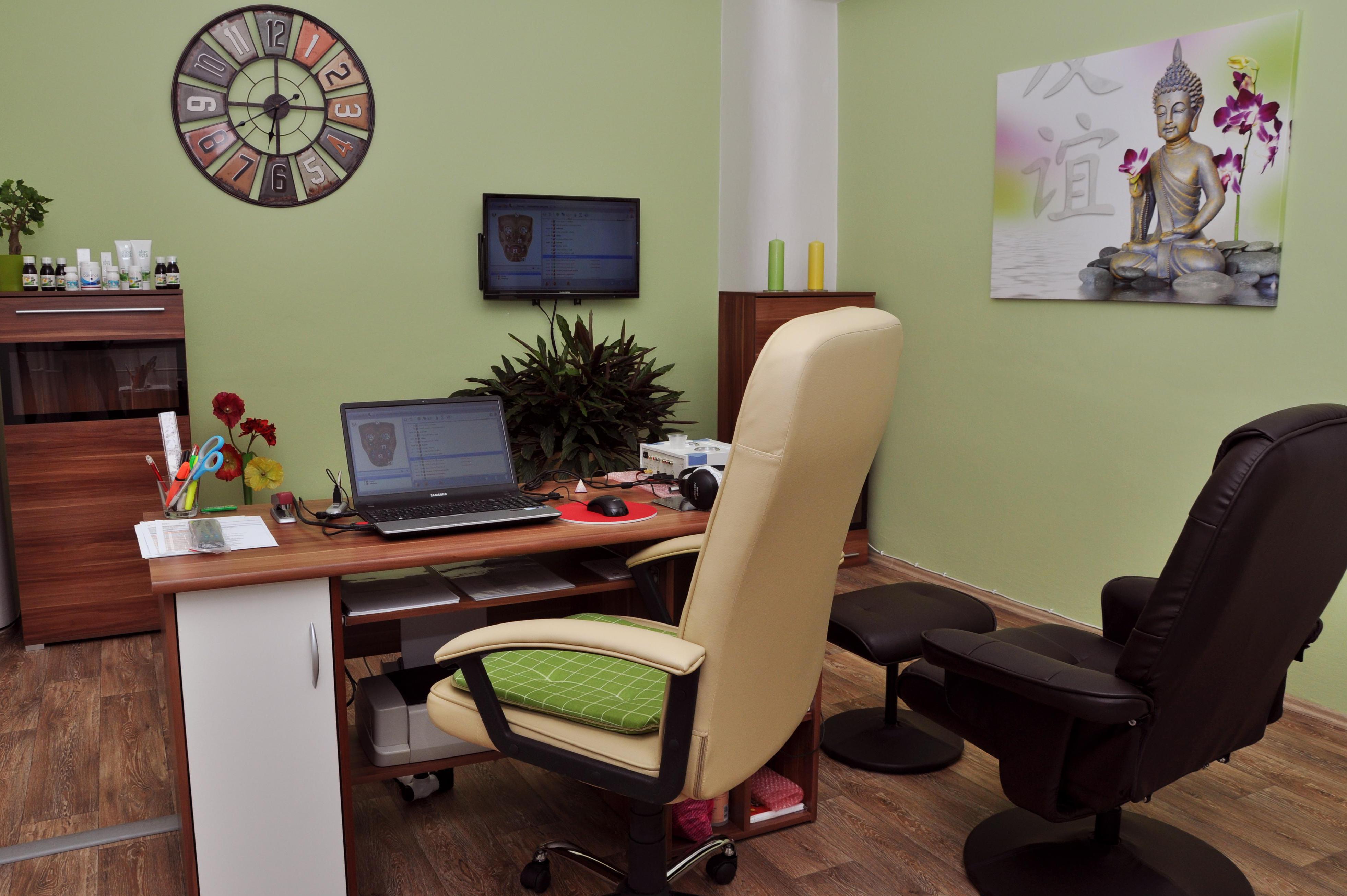 Zdraví v zrcadle - Biorezonance, Arnošt Smolný