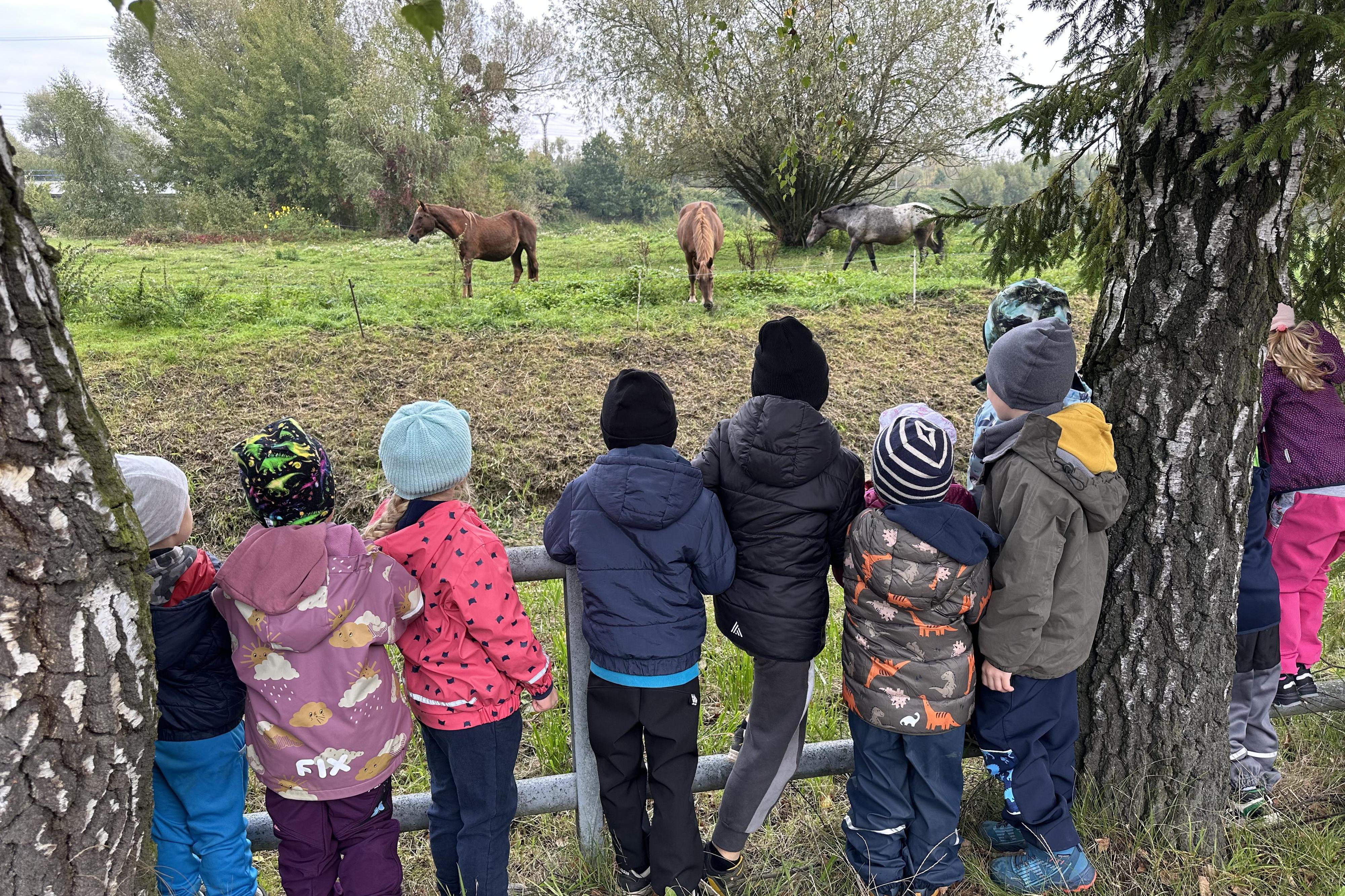 Mateřská škola Polom, příspěvková organizace