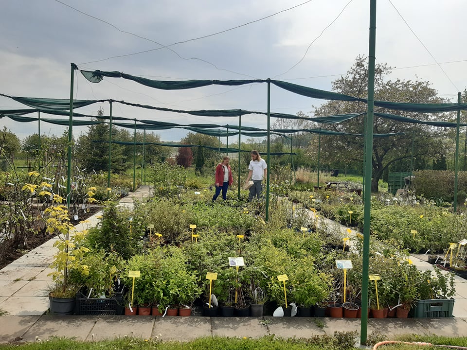 Zahradnictvi Kubelkovi foto 4