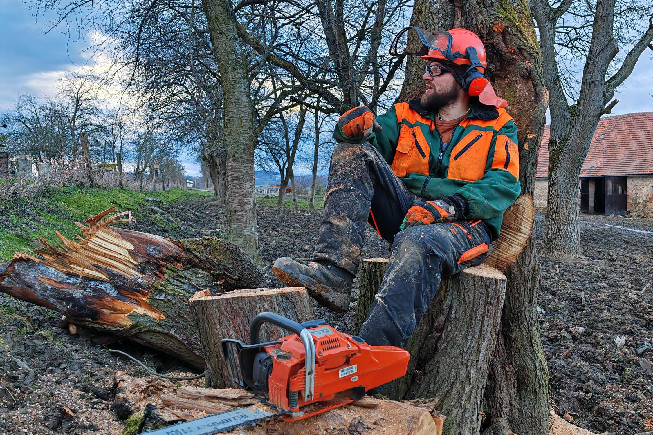 Lesní bazar - Matouš Horák