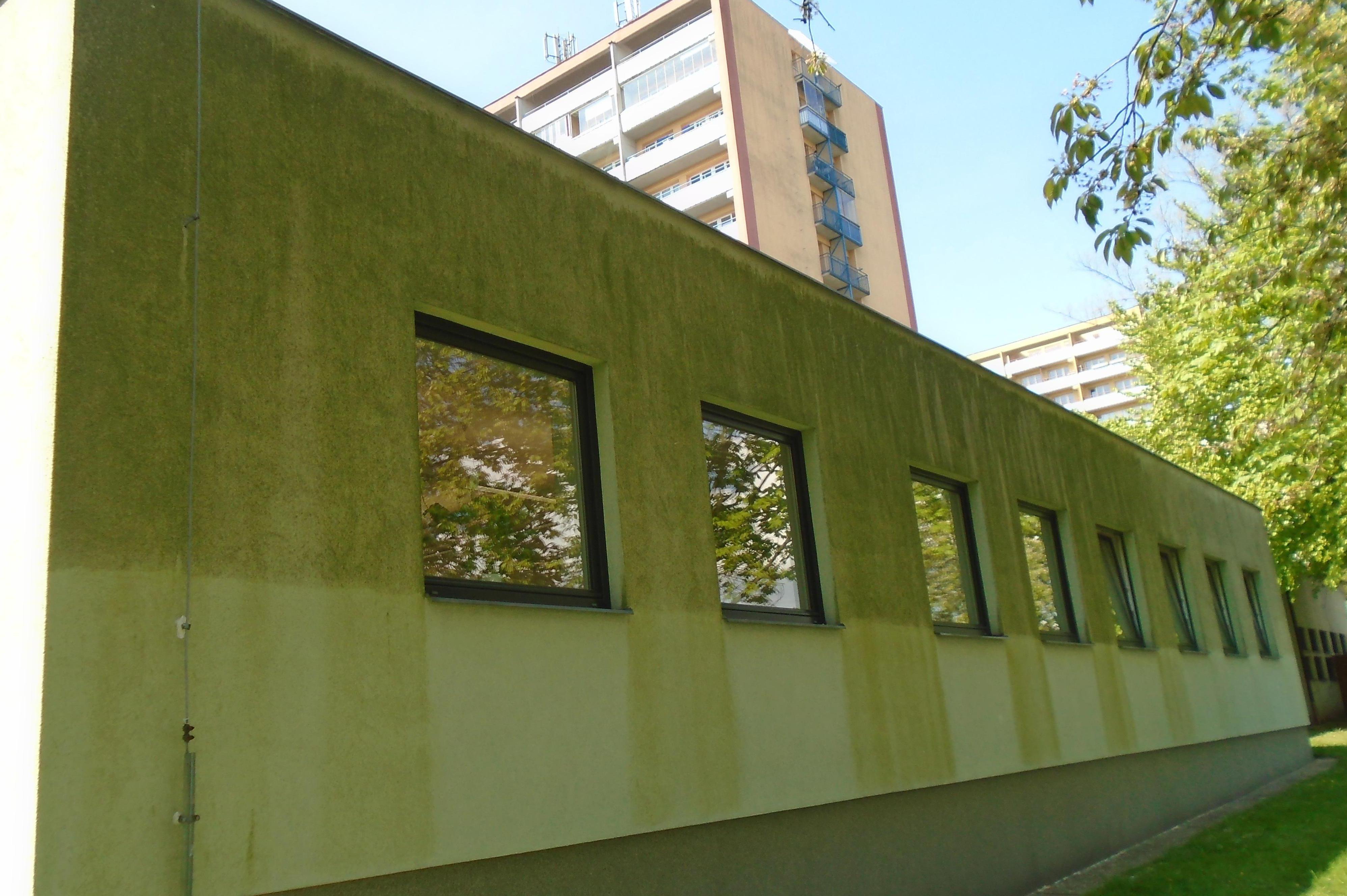 Odstranění řasy a plísně silně napadené fasády