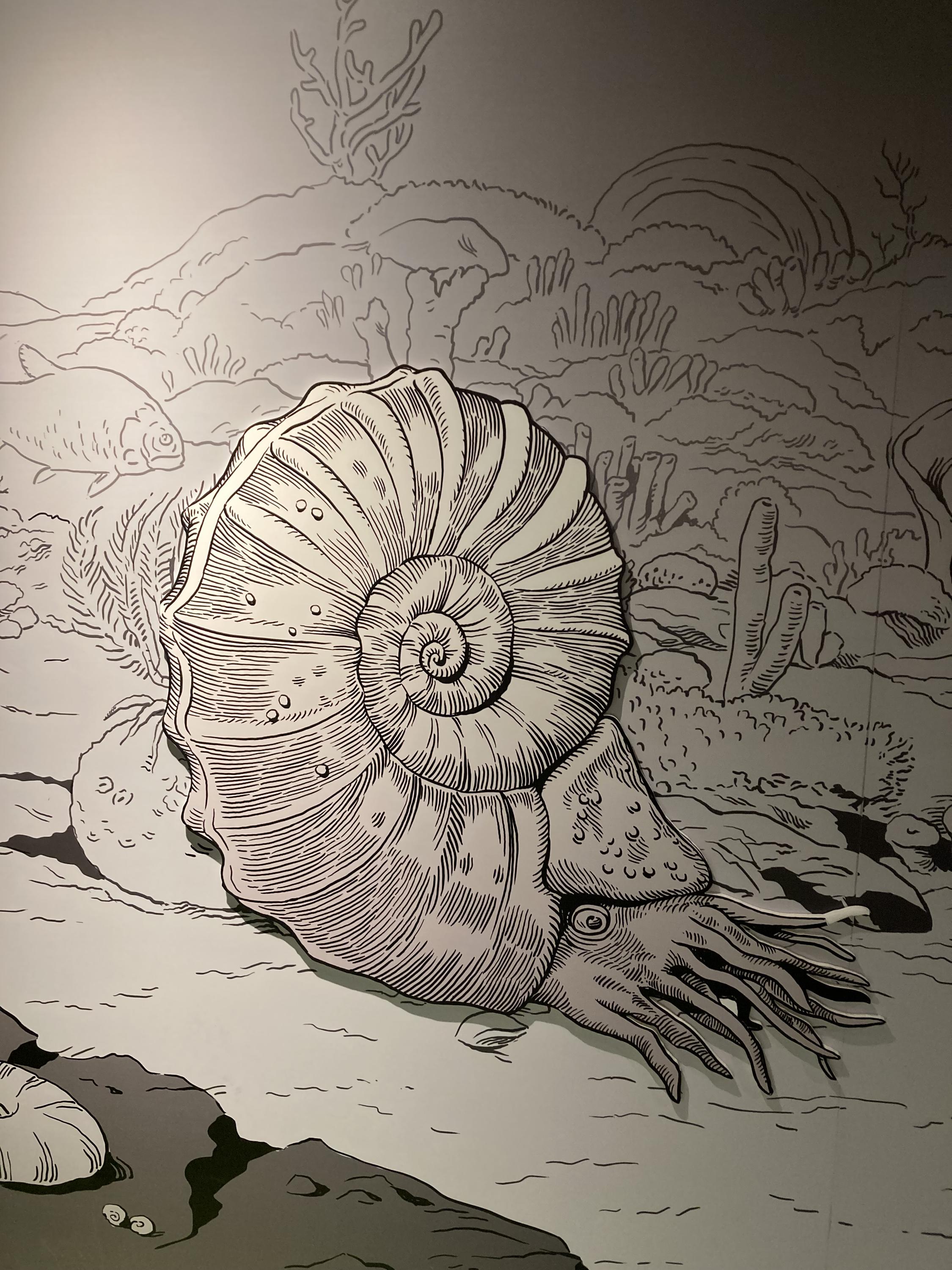 Muzeum Těšínska foto 2