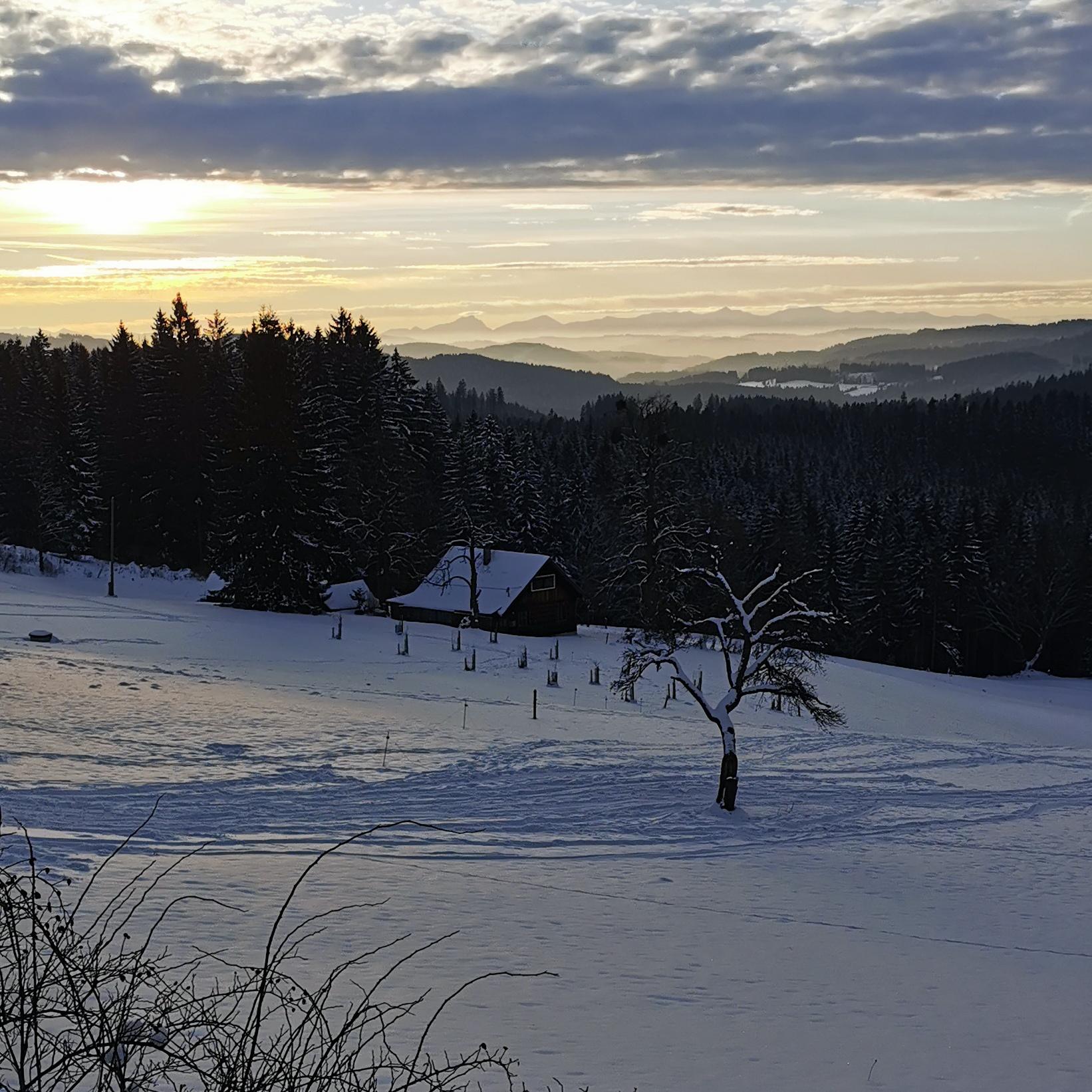 Bezručova škola foto 4