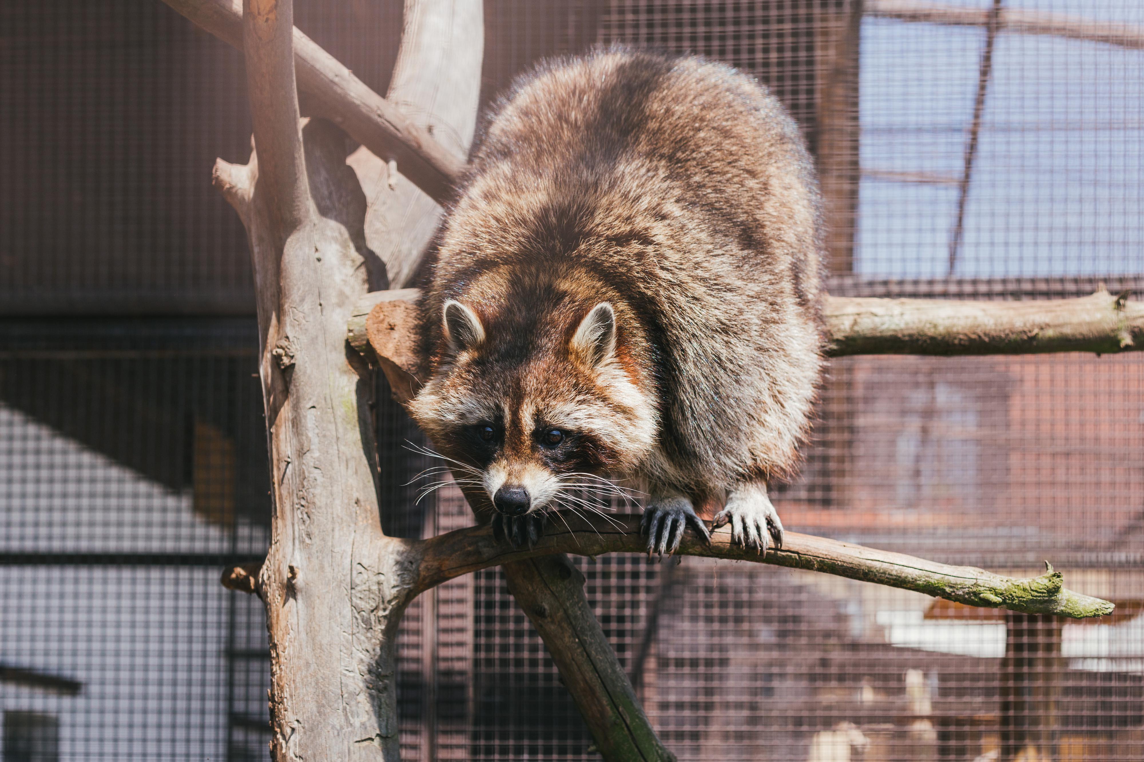 Resort Malevil foto 3