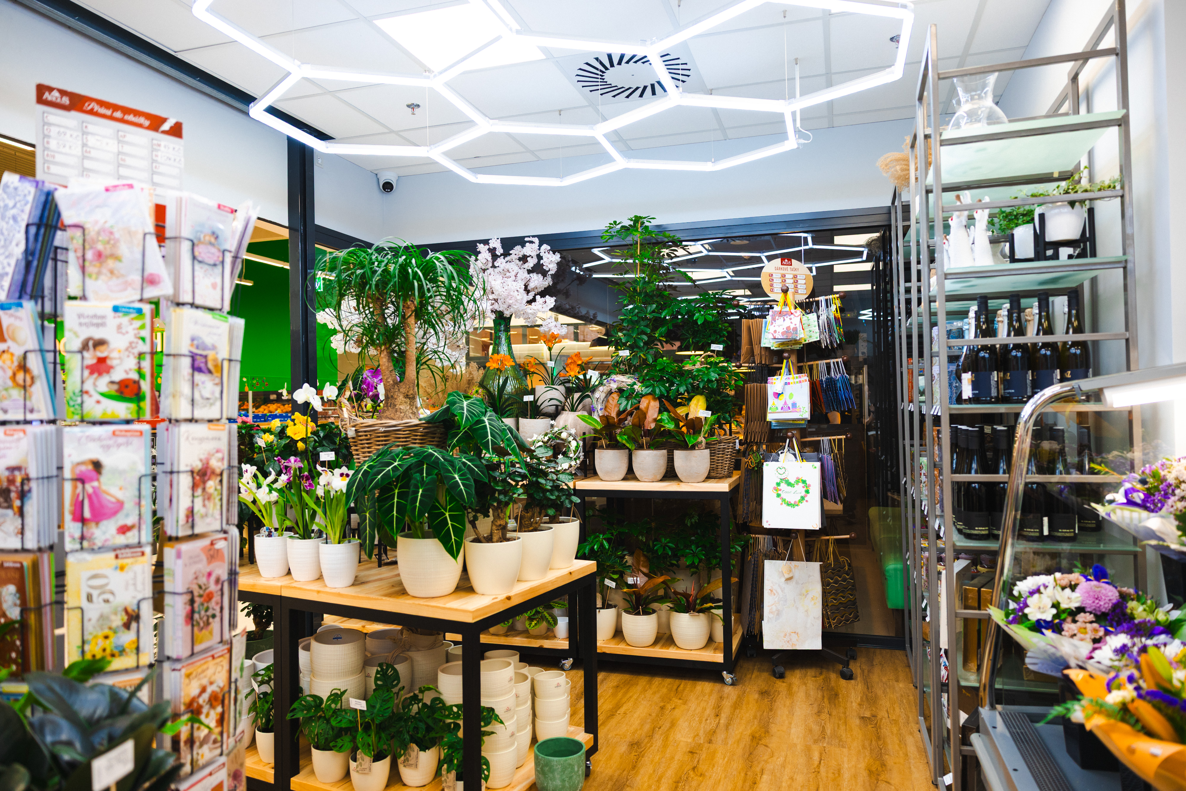 Květiny Flora foto 4