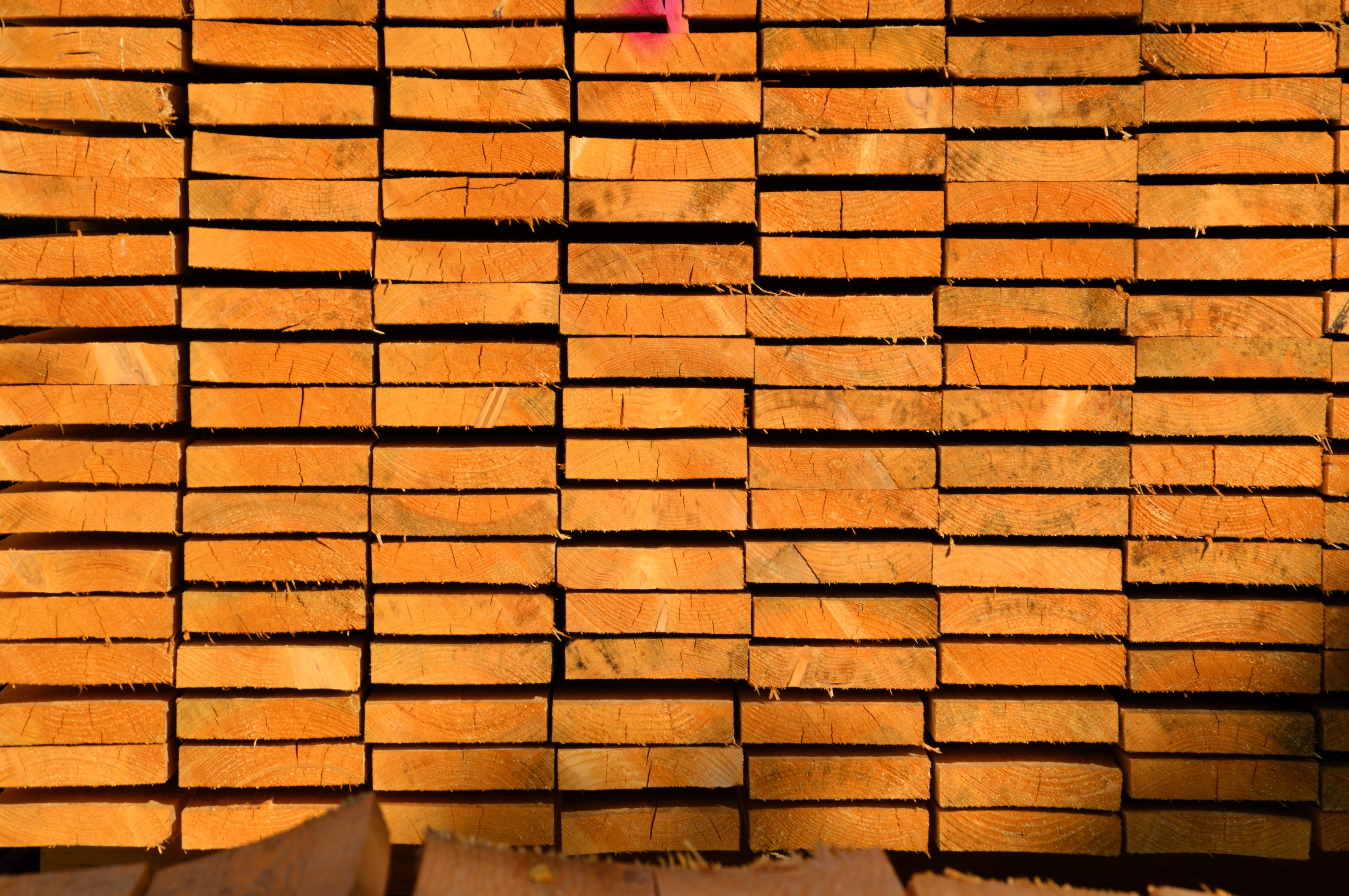 BIOS wood s.r.o. foto 5