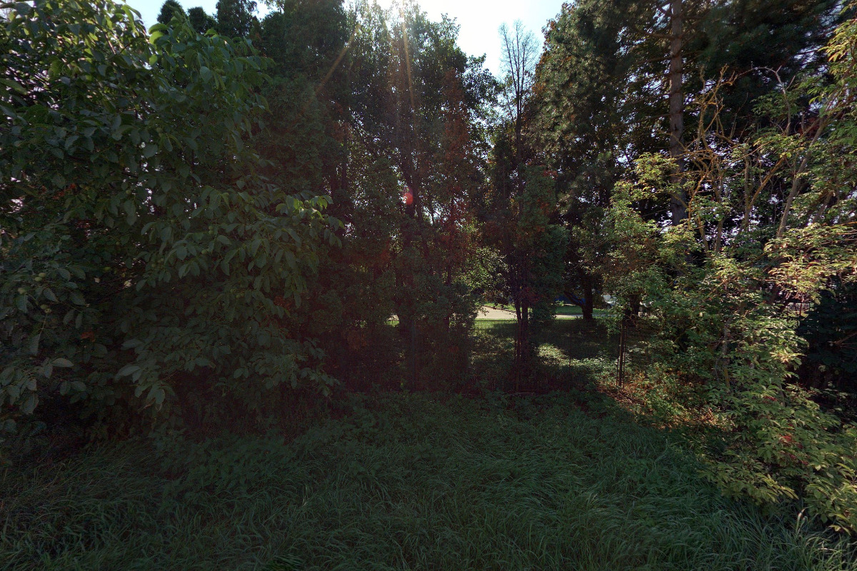 Veterinární klinika s pohotovostí - MVDr. Helena Místecká