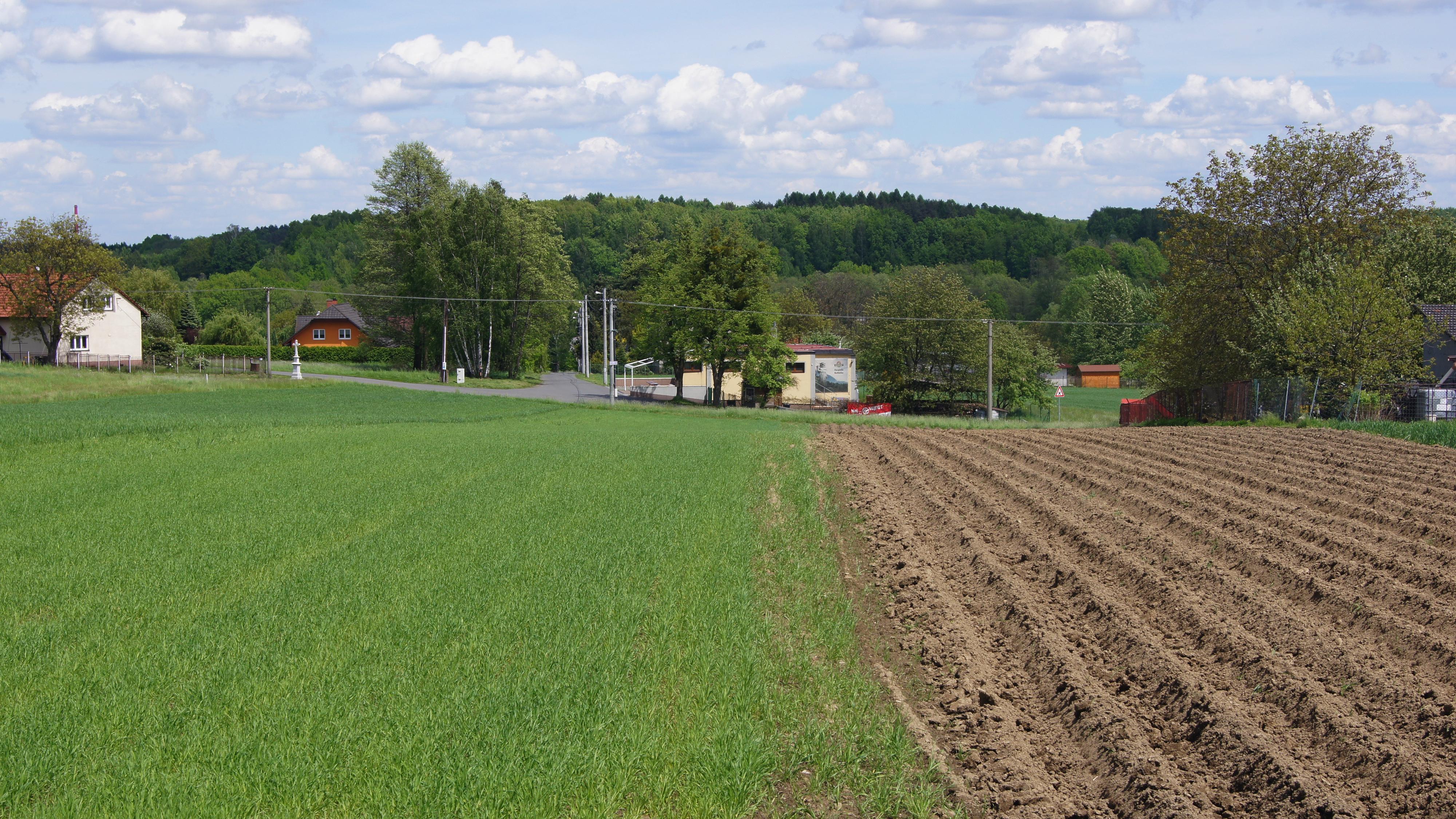 Hospoda Na Růžku foto 6