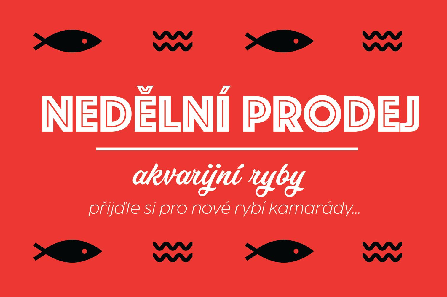 Nedělní prodej akvarijních ryb u JK AKVA Kožlany