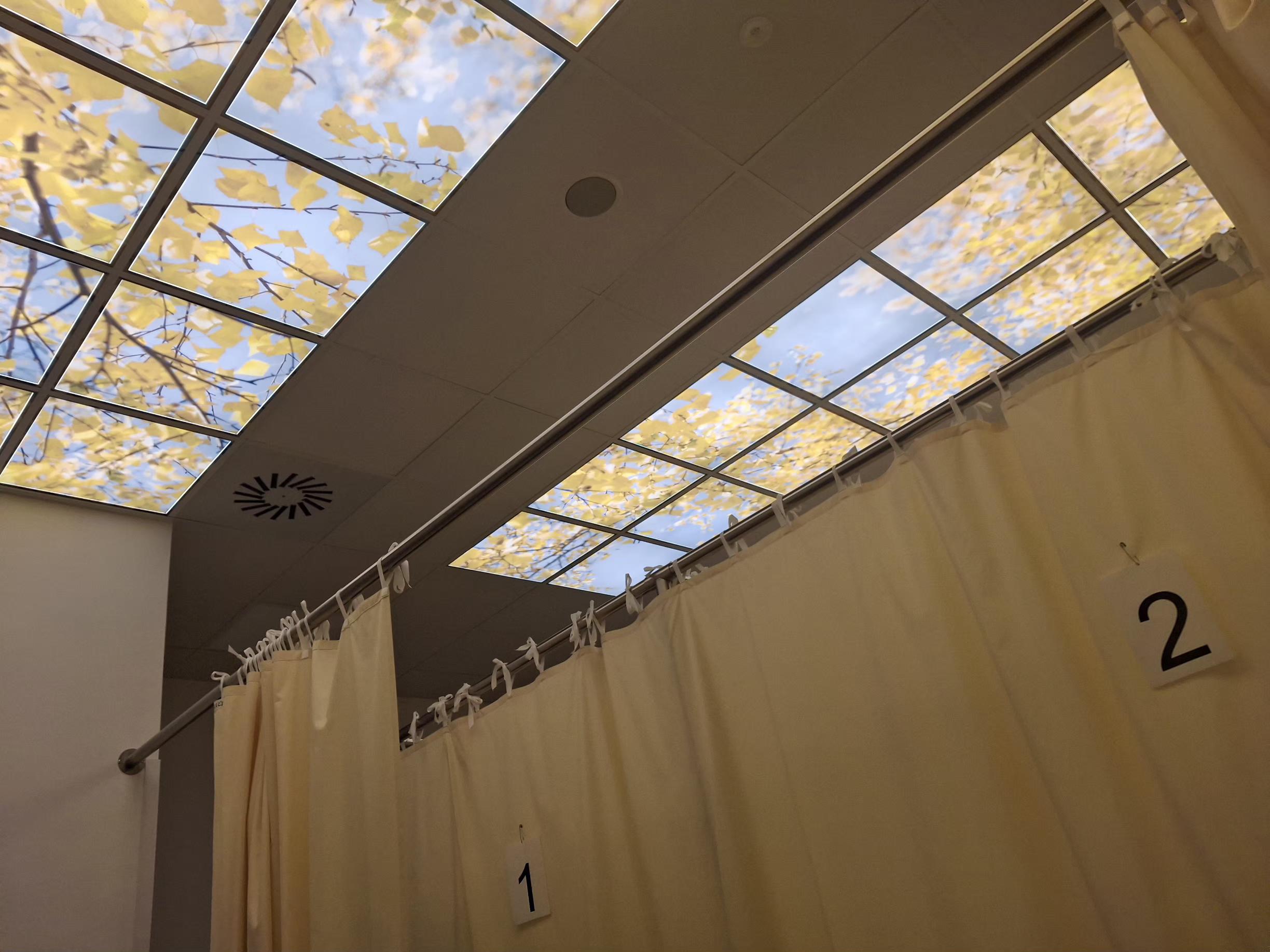 Fyzioterapie - Poliklinika Nemocnice Vyškov foto 3