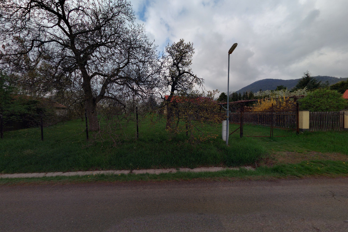 Veterina Pohotovost foto 2