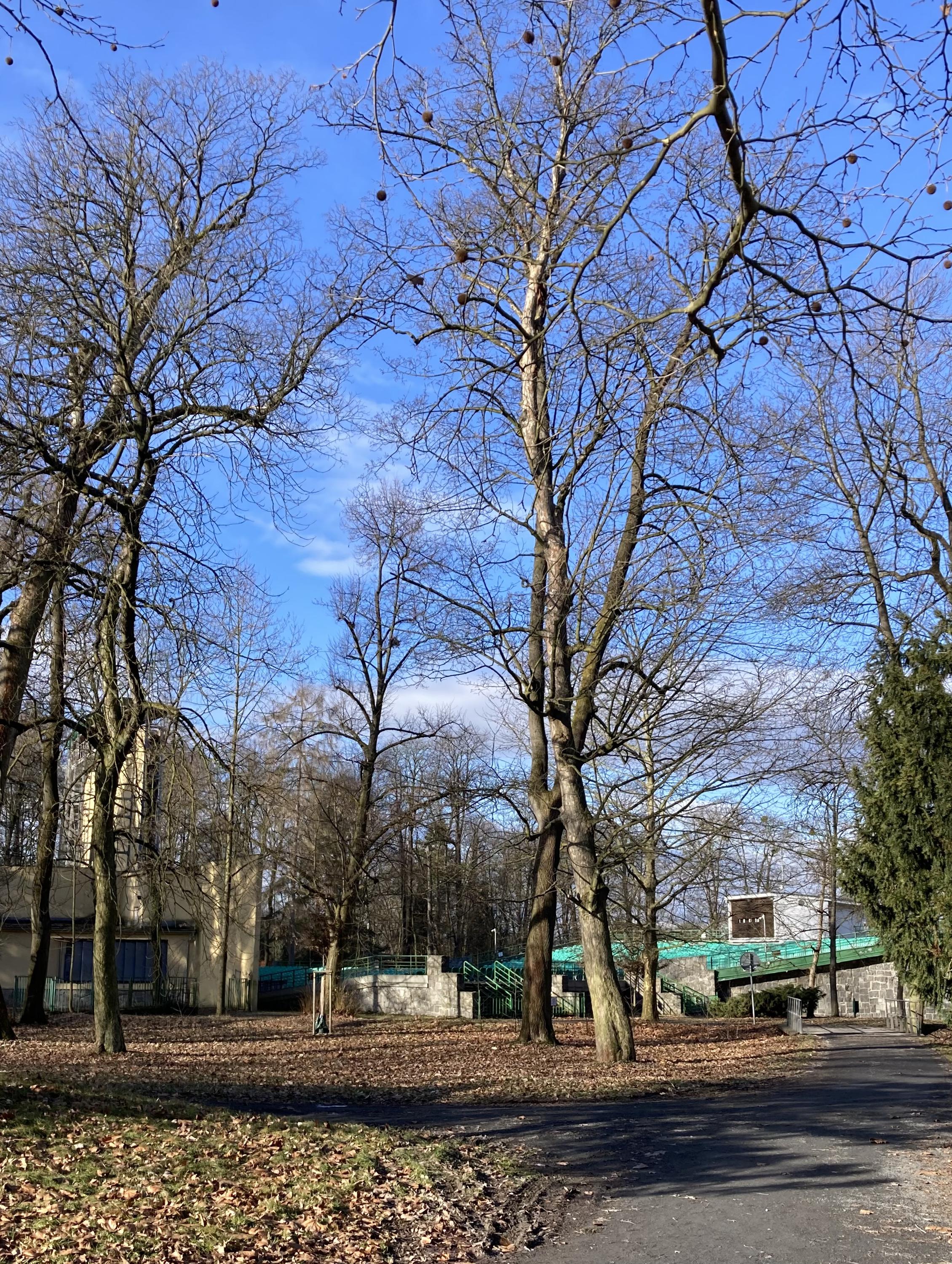 Letní kino Karviná foto 4