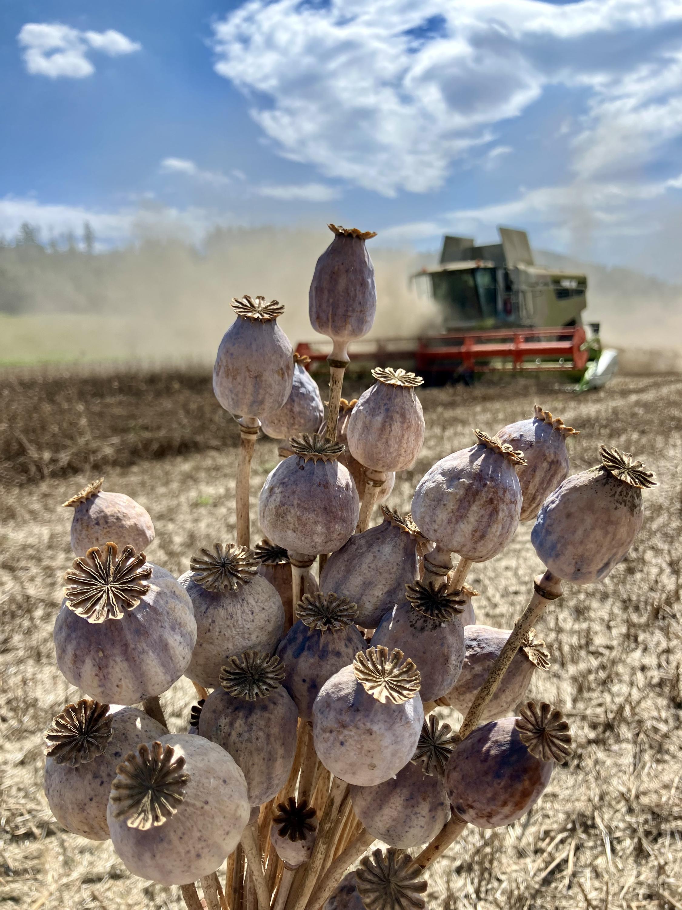 Bludovská, a.s. foto 6