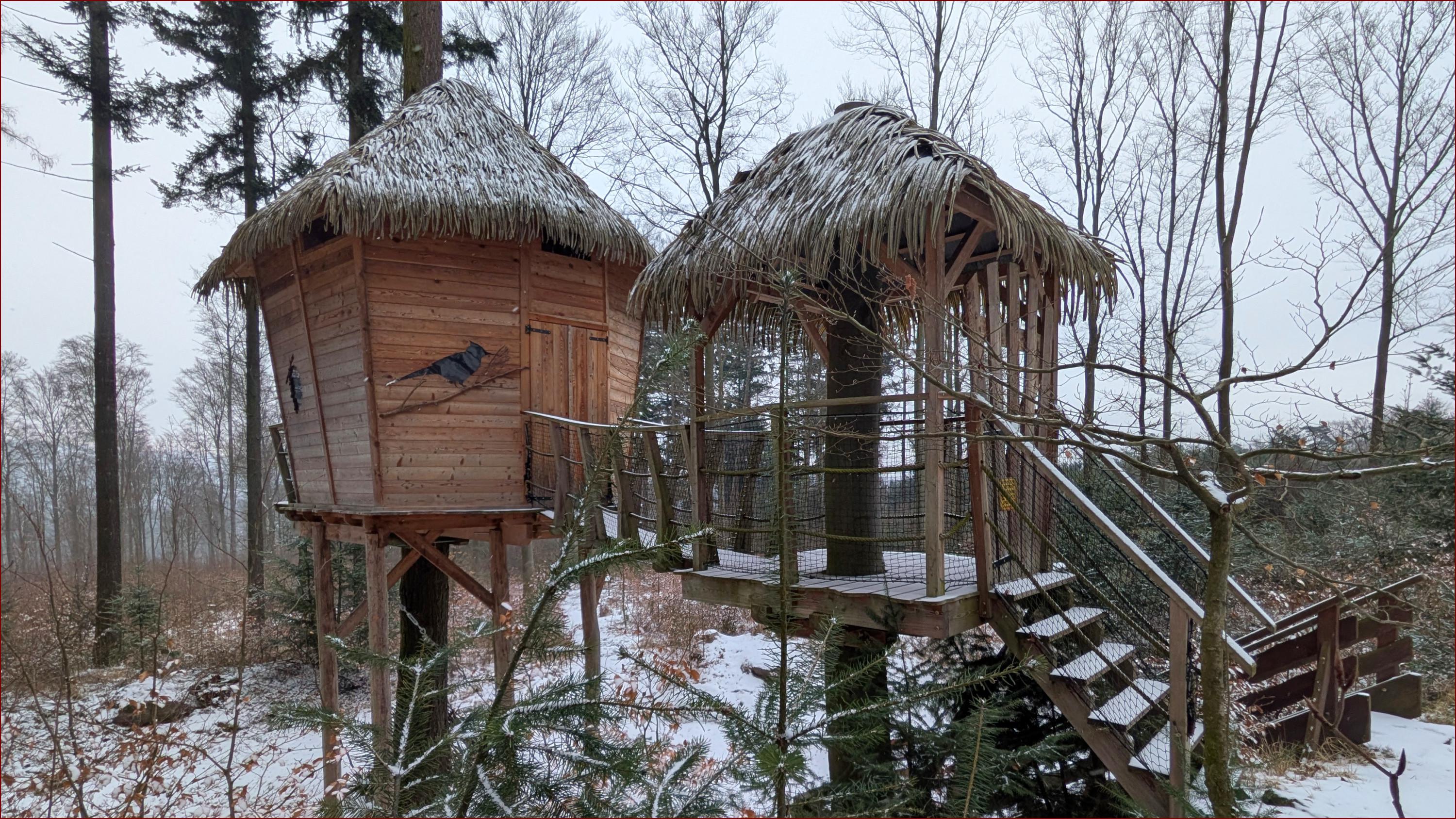 Tree house Sojčí hnízdo foto 2